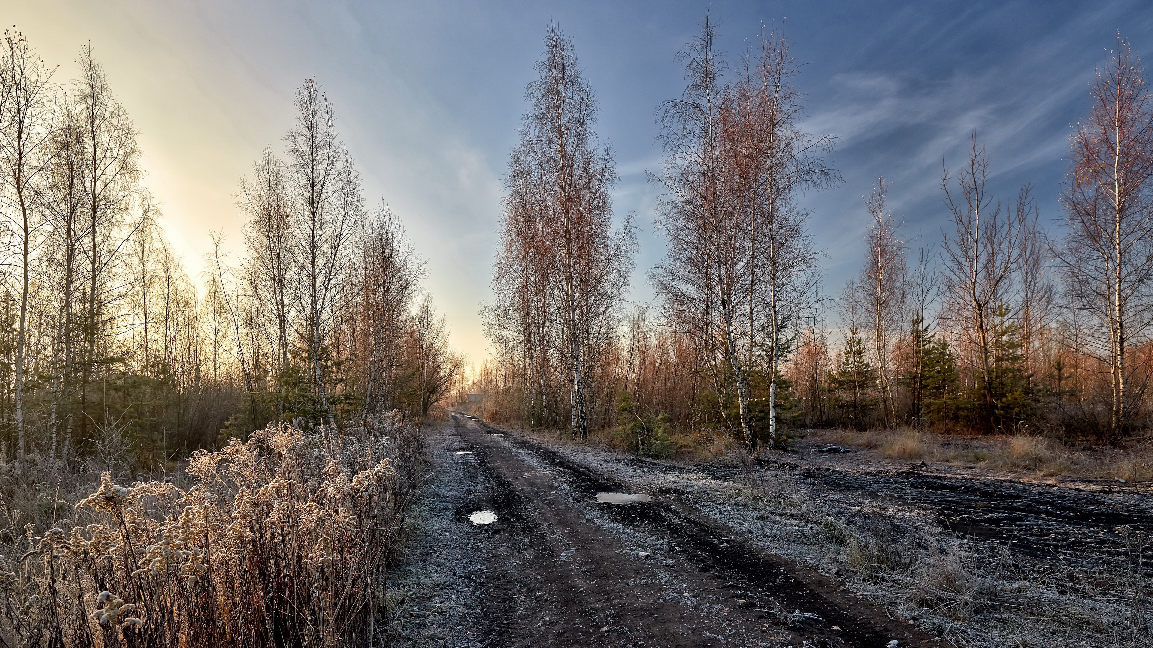 Free download wallpaper Path, Morning, Frost, Man Made on your PC desktop
