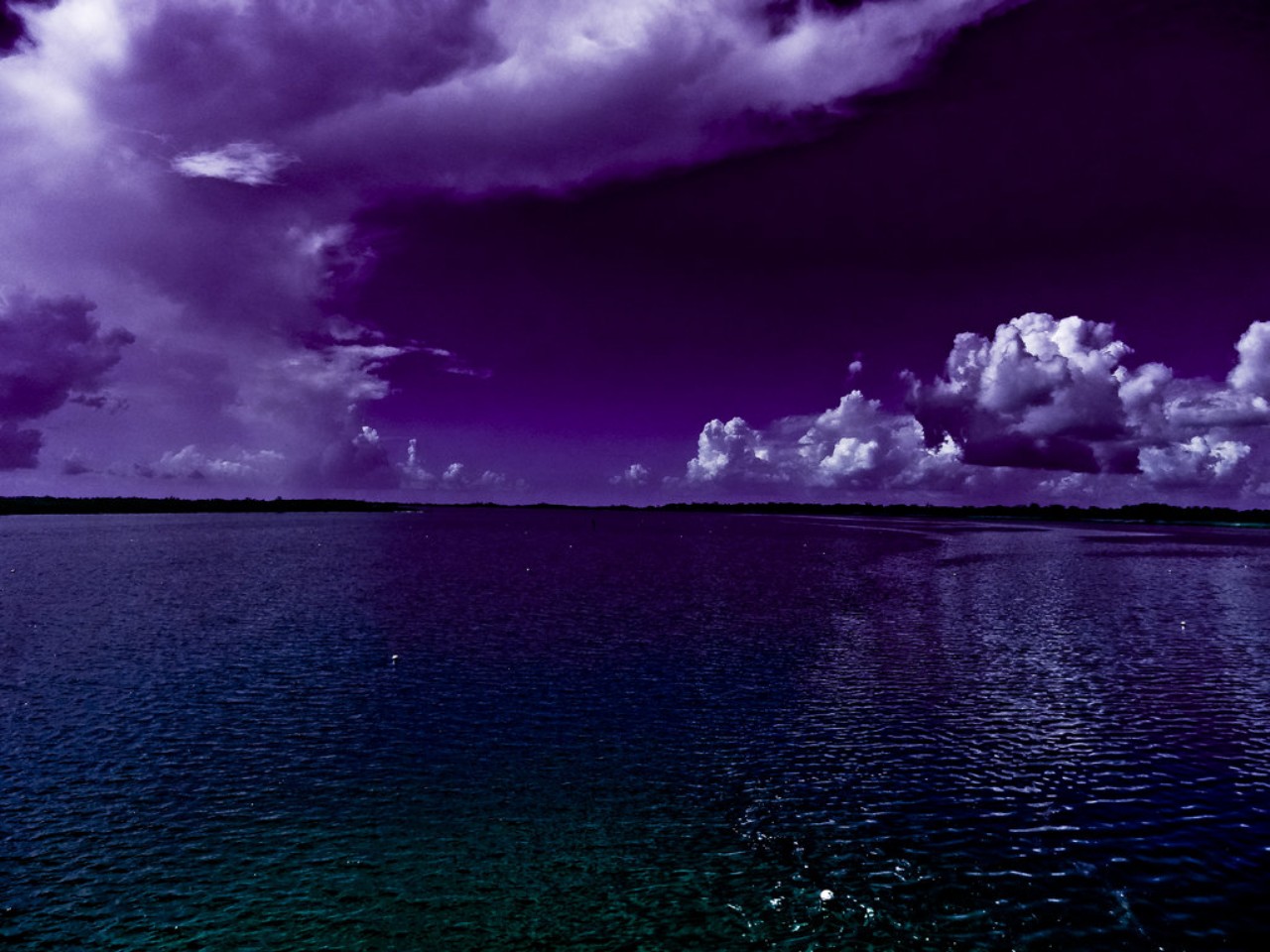 Скачать картинку Океан, Пурпурный, Земля/природа в телефон бесплатно.