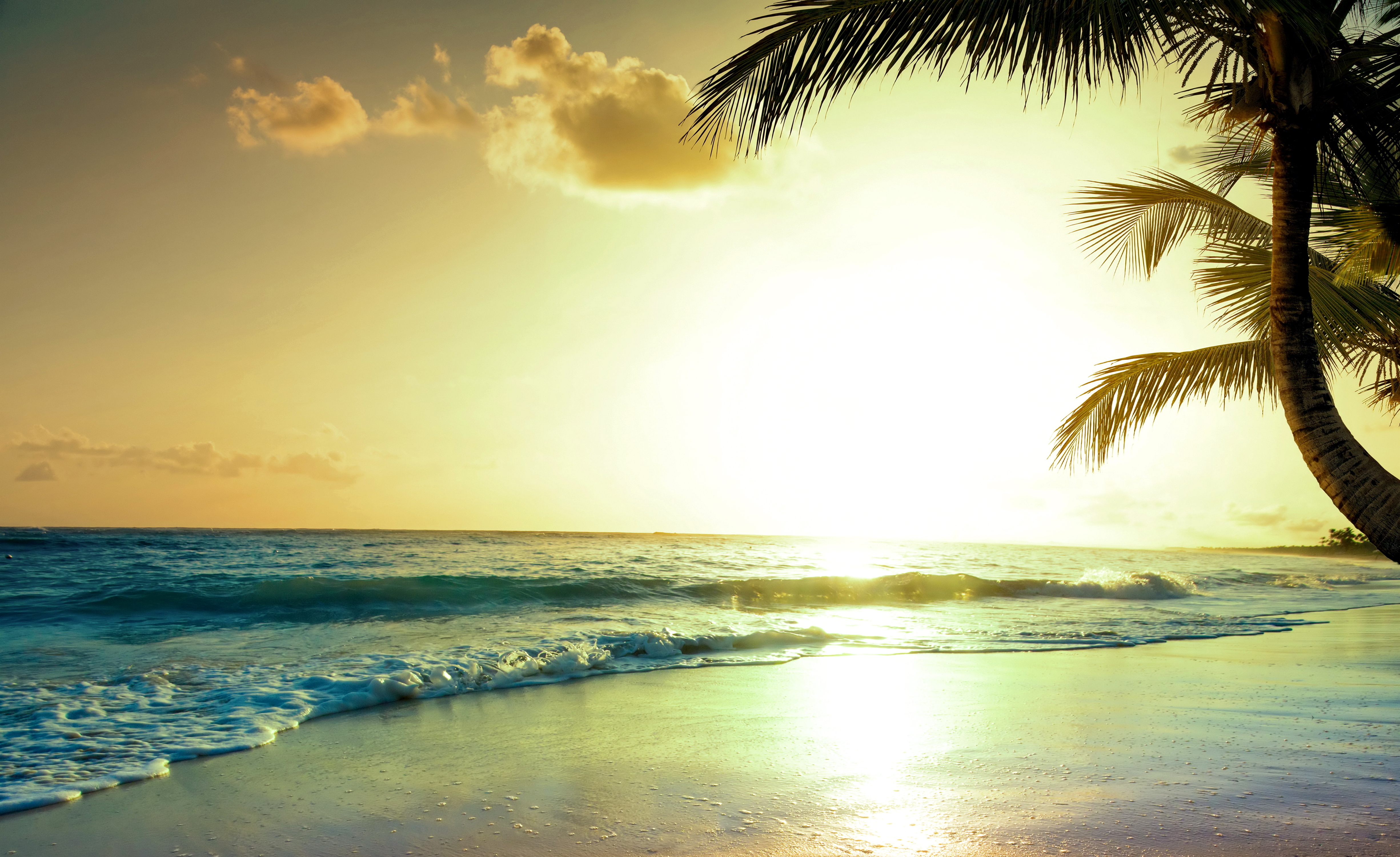 Laden Sie das Ozean, Palme, Tropisch, Himmel, Sonnenuntergang, Erde/natur-Bild kostenlos auf Ihren PC-Desktop herunter
