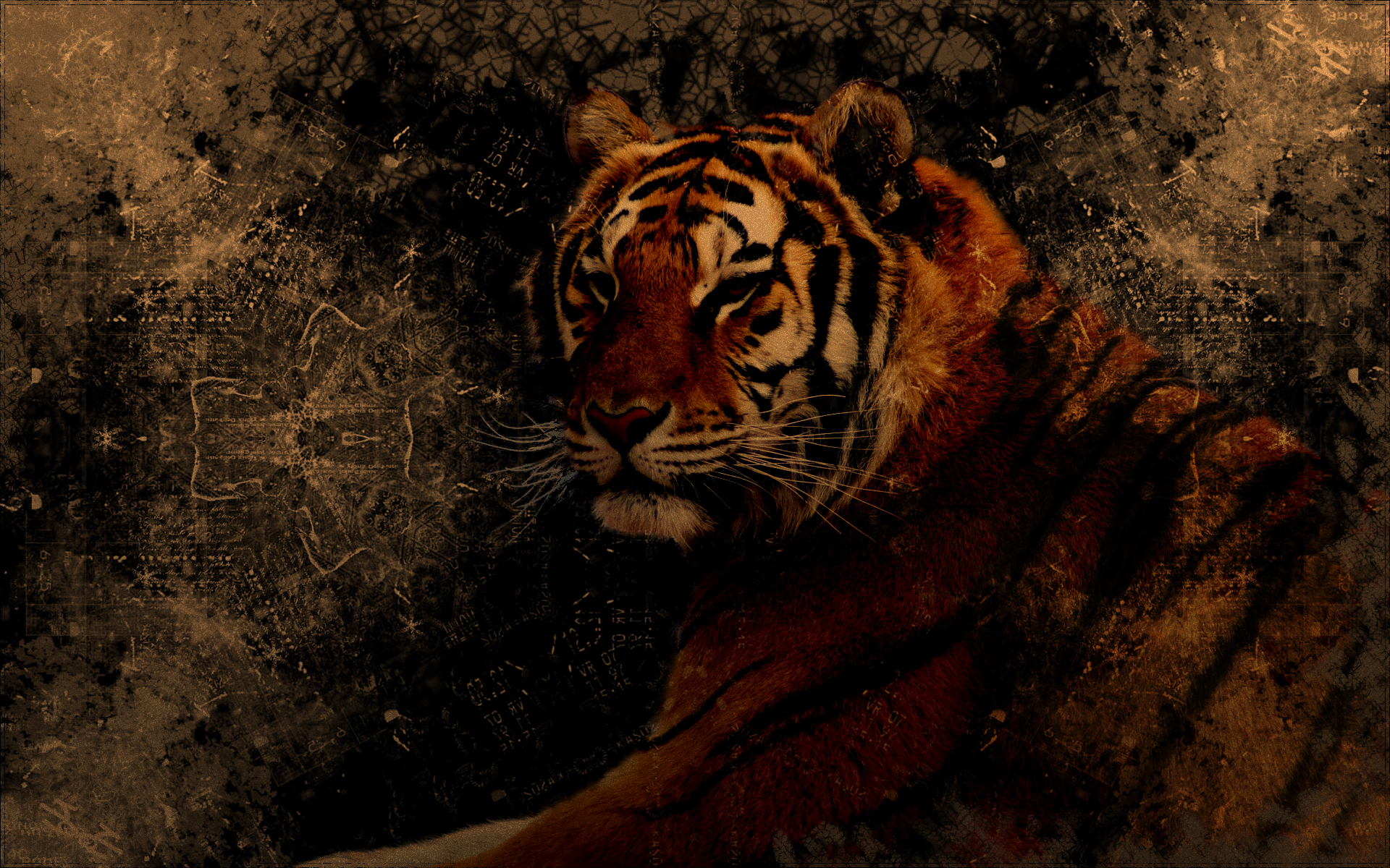 290813 baixar imagens animais, tigre, grunge, gatos - papéis de parede e protetores de tela gratuitamente