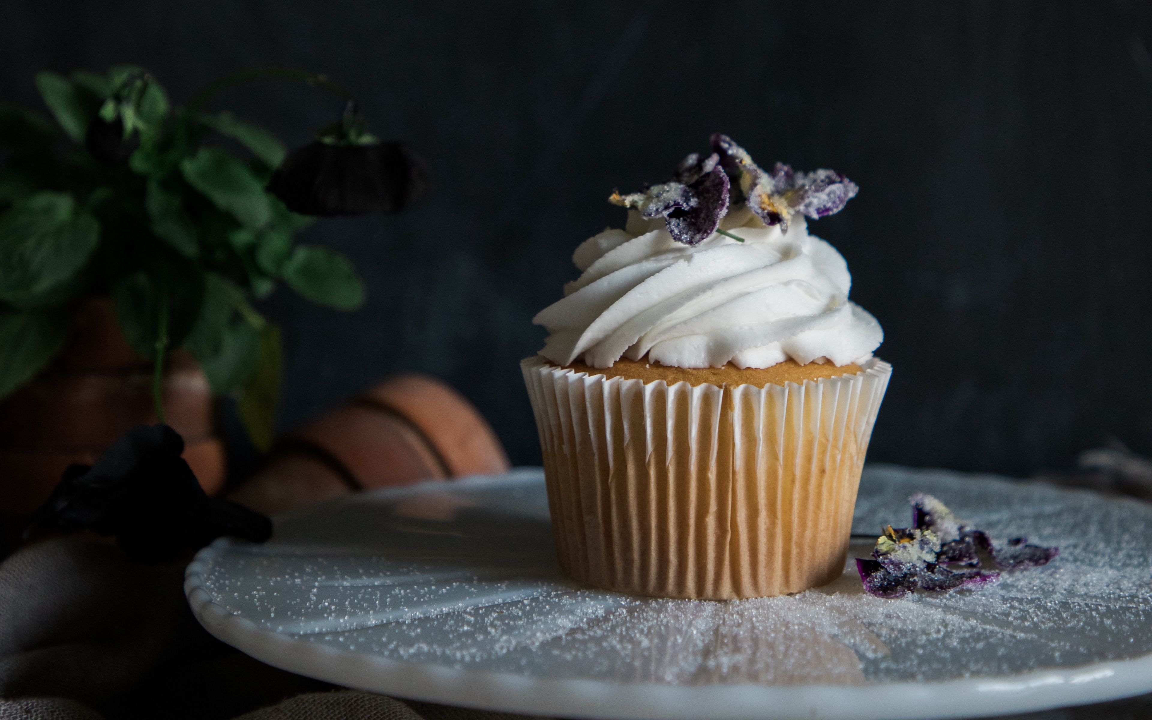 Free download wallpaper Food, Cupcake on your PC desktop