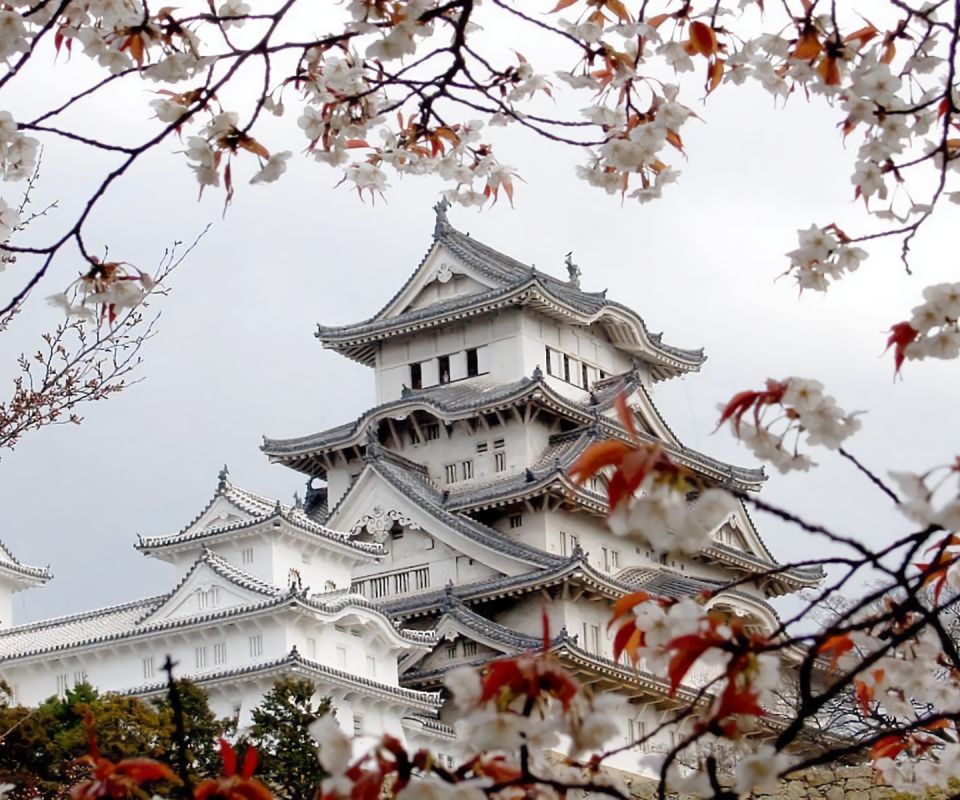Download mobile wallpaper Castles, Sakura, Japan, Spring, Hyogo, Man Made, Sakura Blossom, Himeji Castle for free.