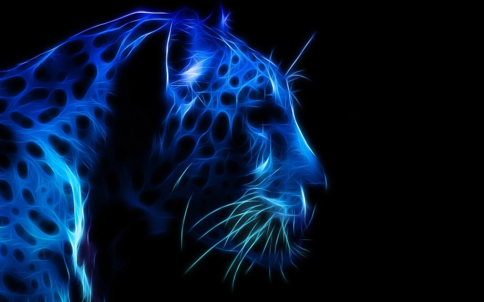 Laden Sie das Leopard, Katzen, Tiere-Bild kostenlos auf Ihren PC-Desktop herunter