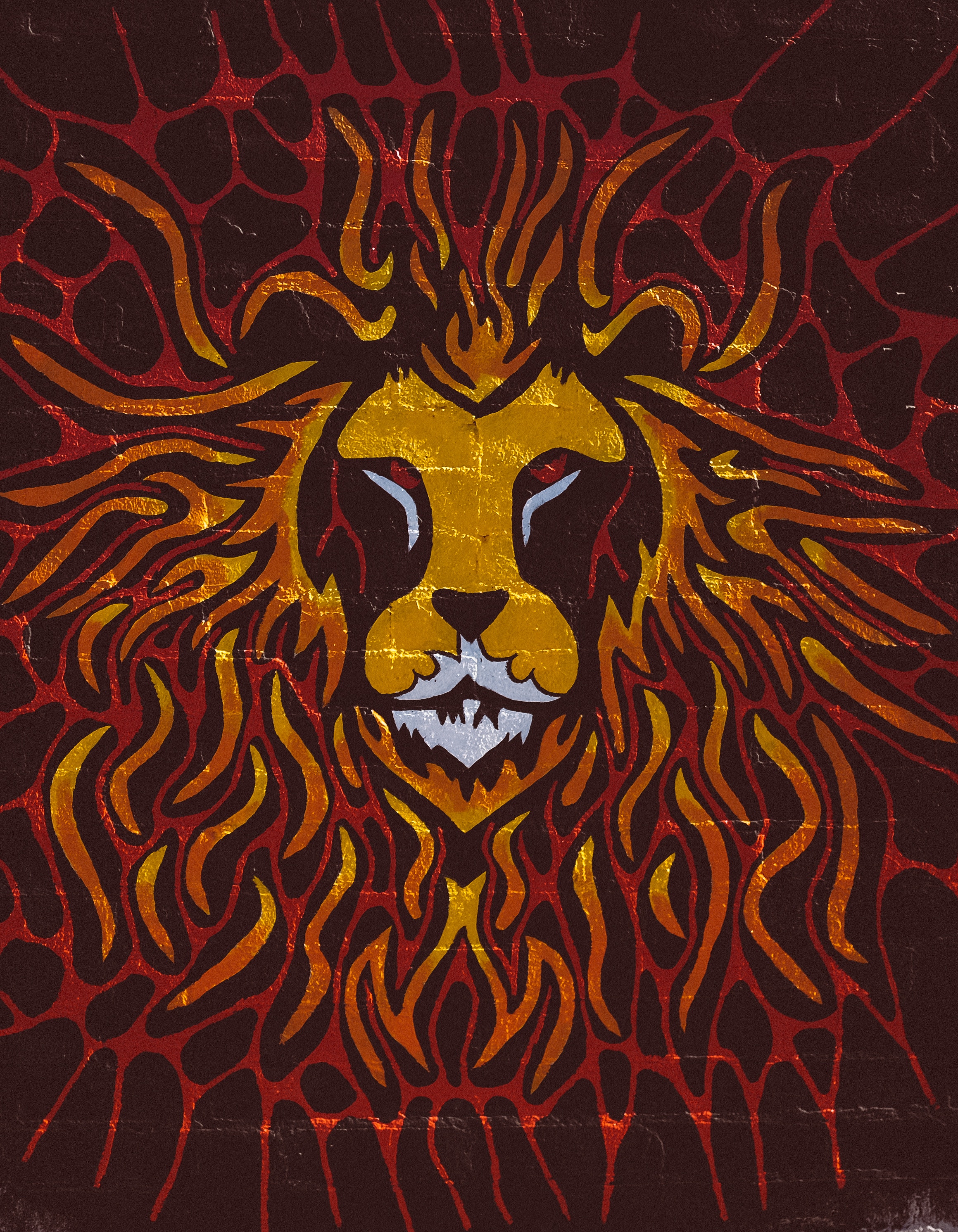 lion, art, wall, graffiti desktop HD wallpaper