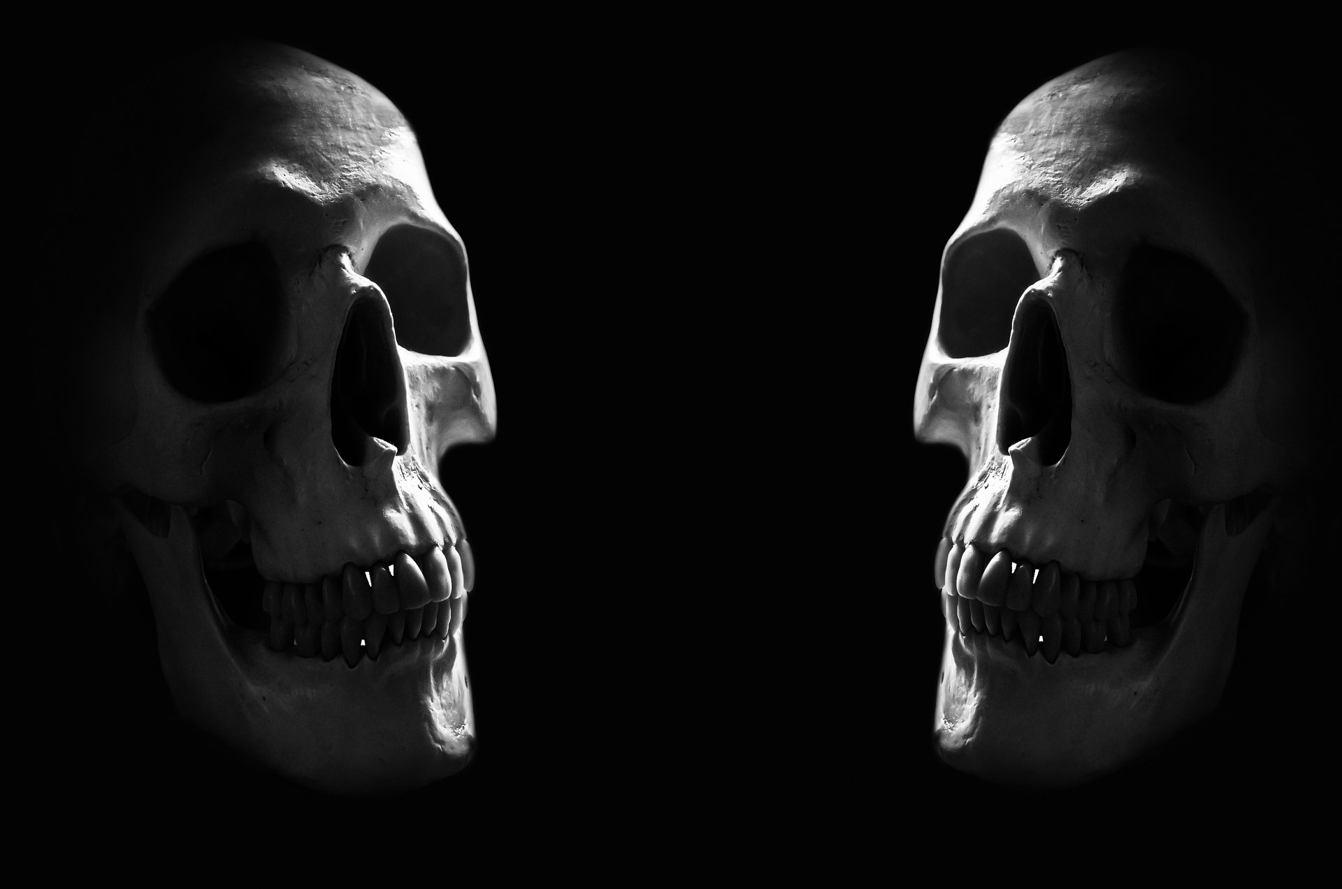 Download mobile wallpaper Dark, Human, Skull, Minimalist for free.