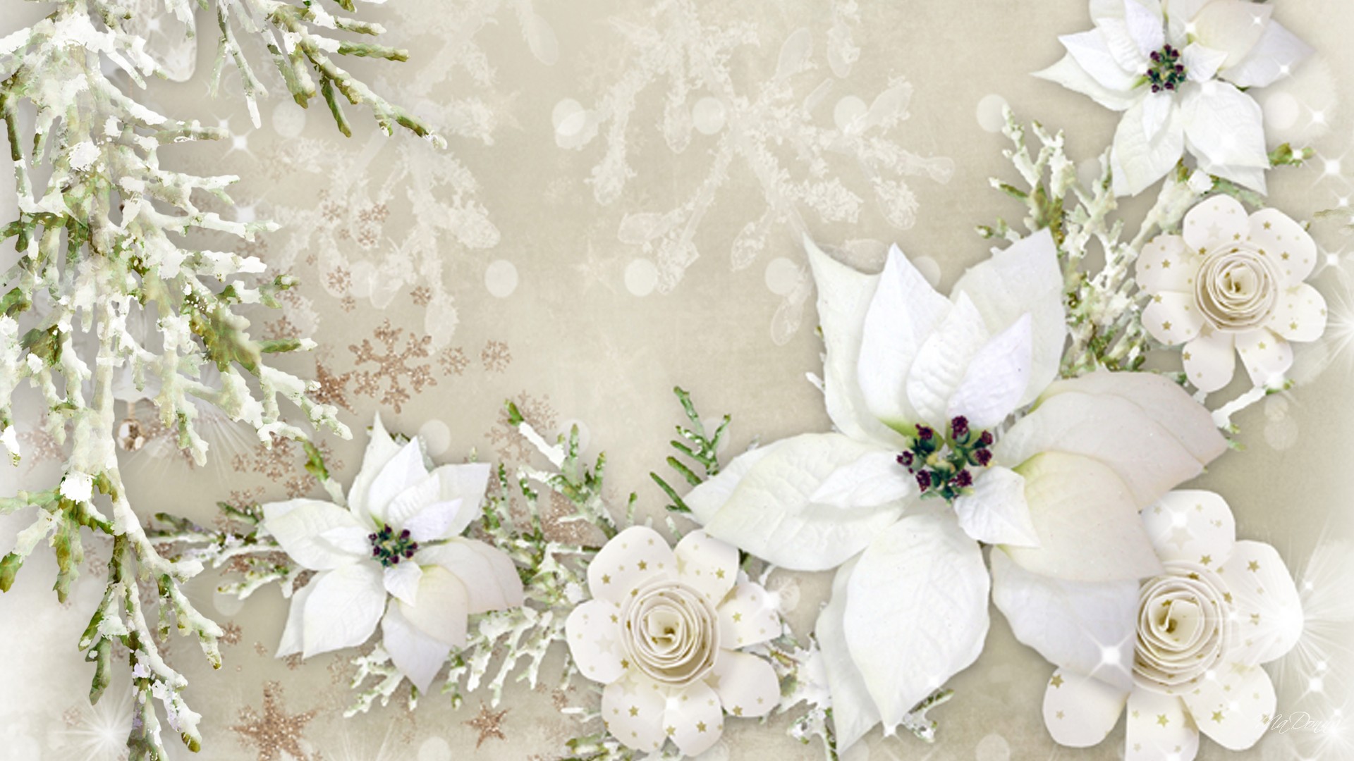artistic, flower, poinsettia, snowflake, white, flowers