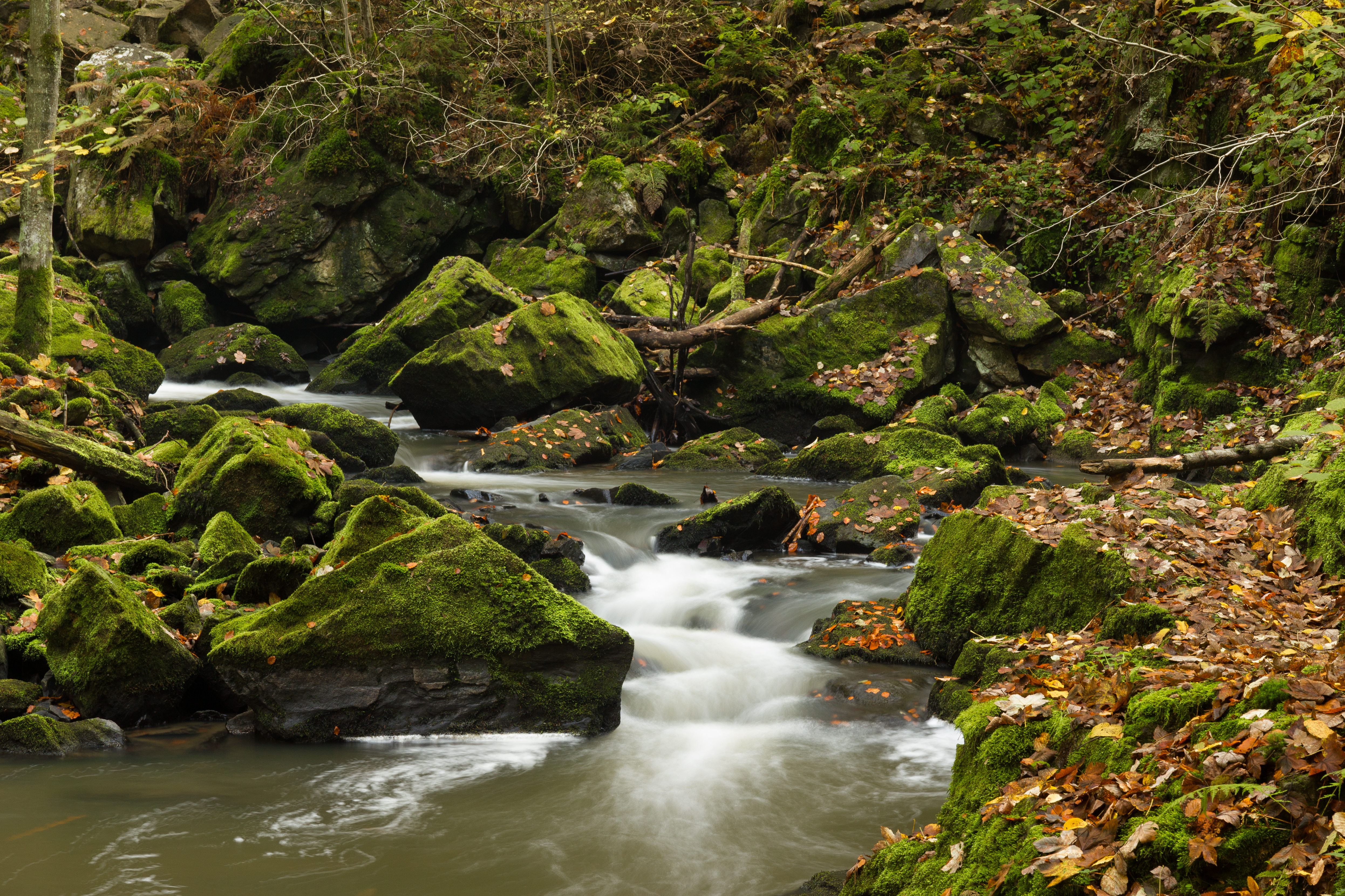Free download wallpaper Rivers, Rocks, Moss, Nature, Stones, Landscape on your PC desktop