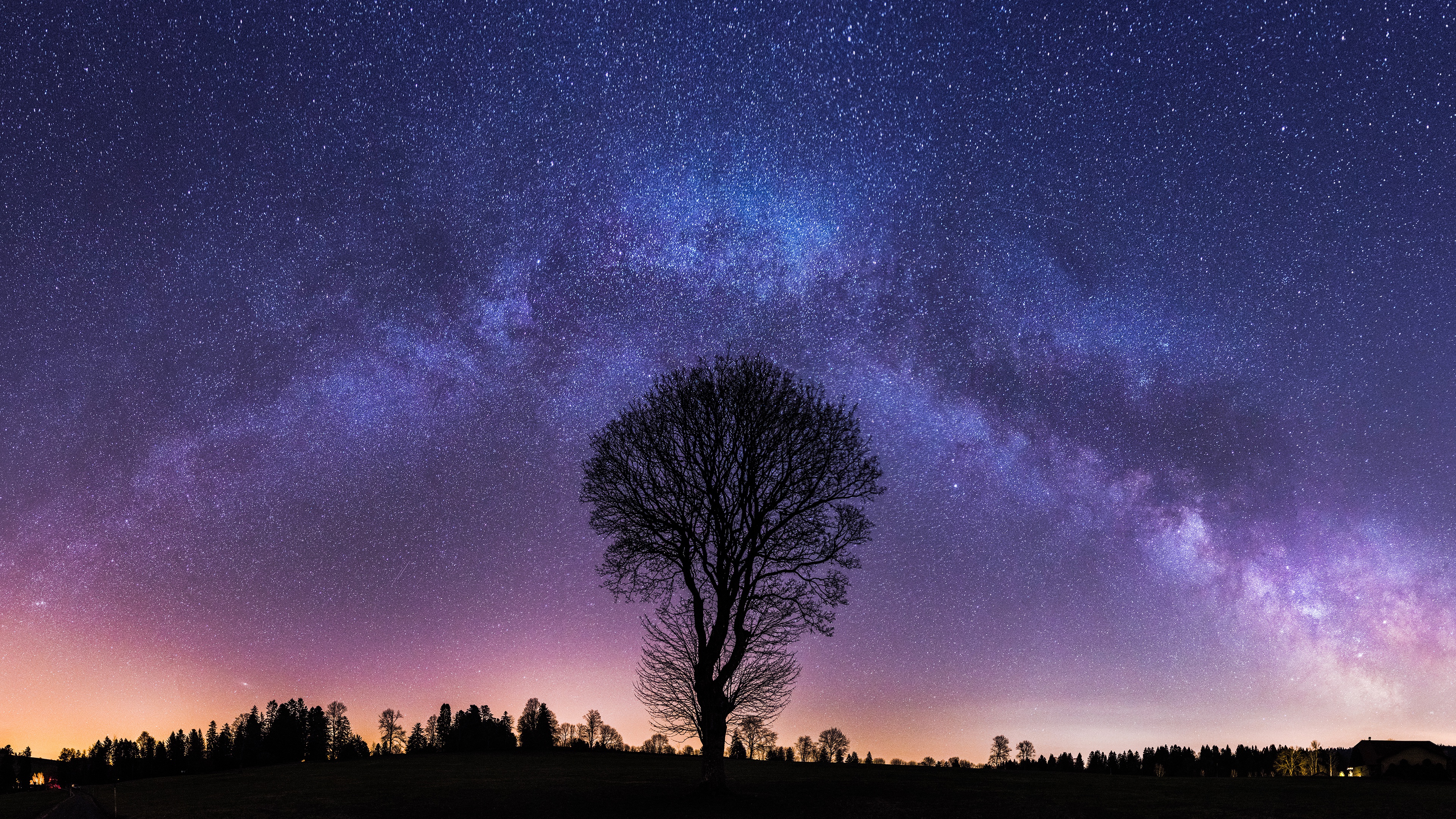 Download mobile wallpaper Stars, Night, Tree, Earth, Milky Way for free.