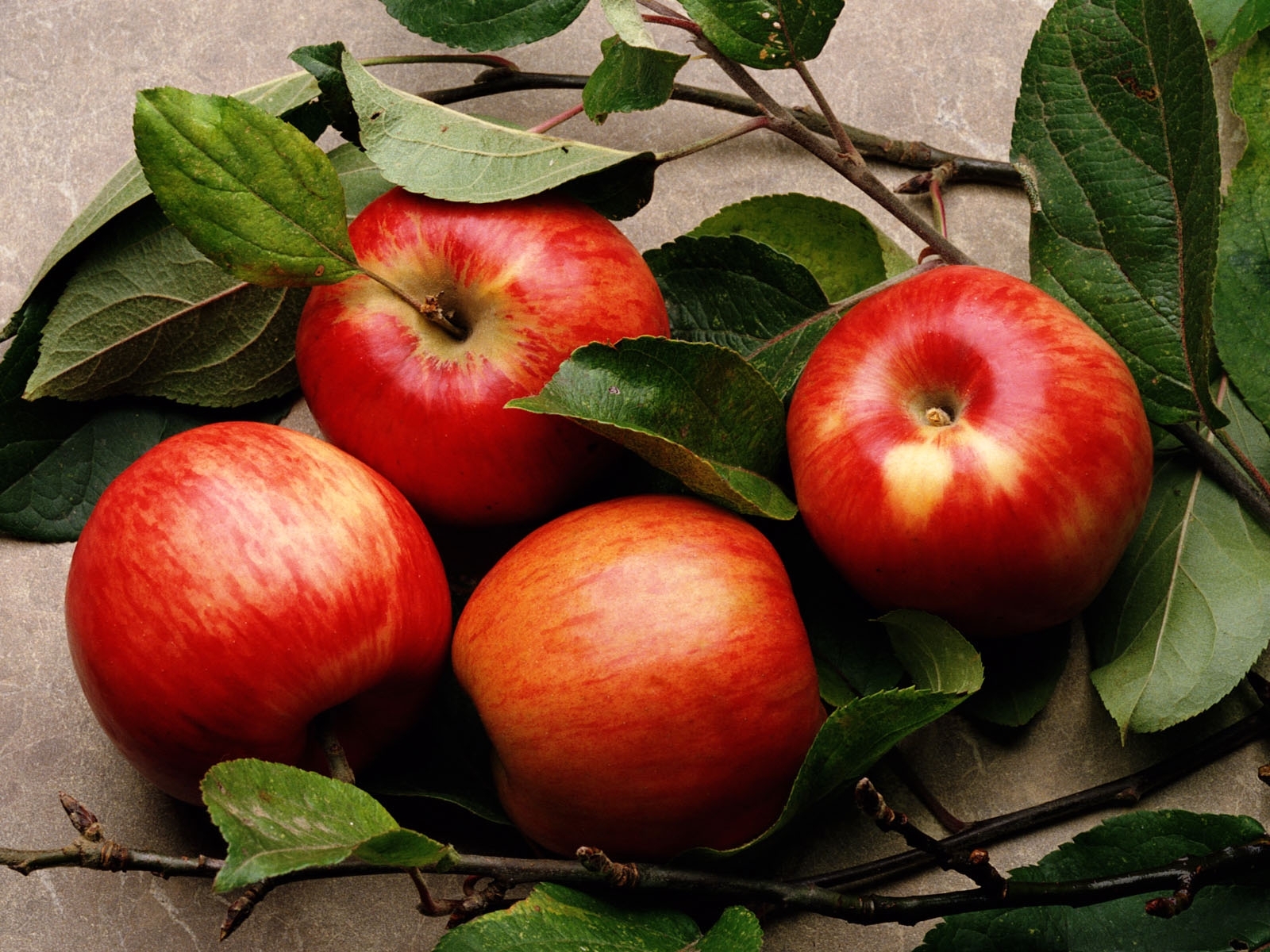 Завантажити шпалери безкоштовно Яблука, Їжа, Фрукти картинка на робочий стіл ПК