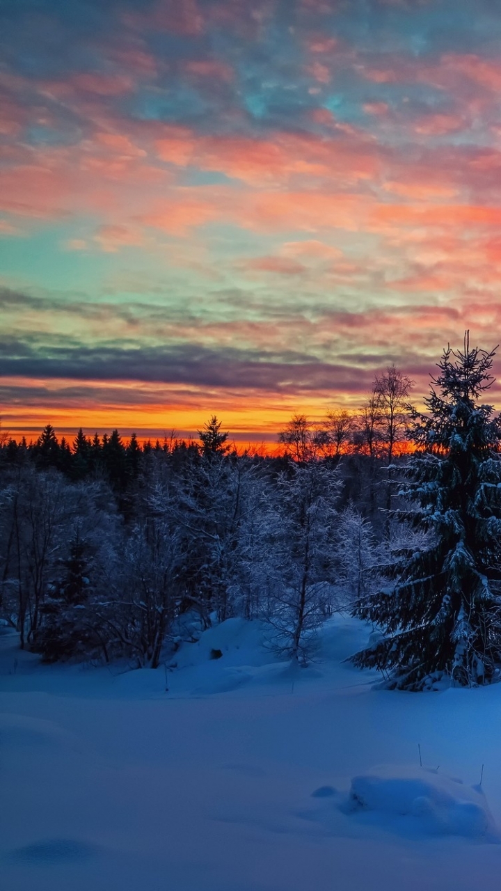 Download mobile wallpaper Winter, Sunset, Forest, Photography for free.