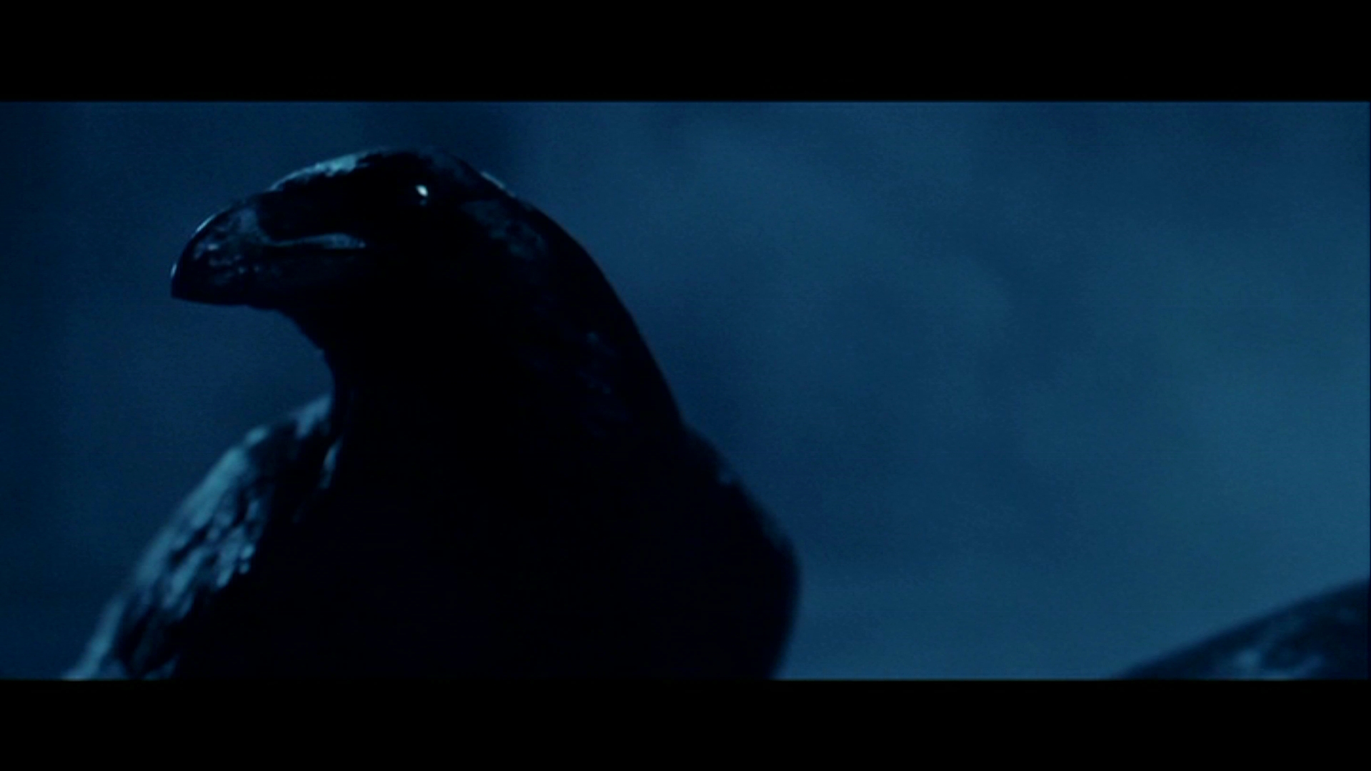Download mobile wallpaper Movie, The Raven for free.