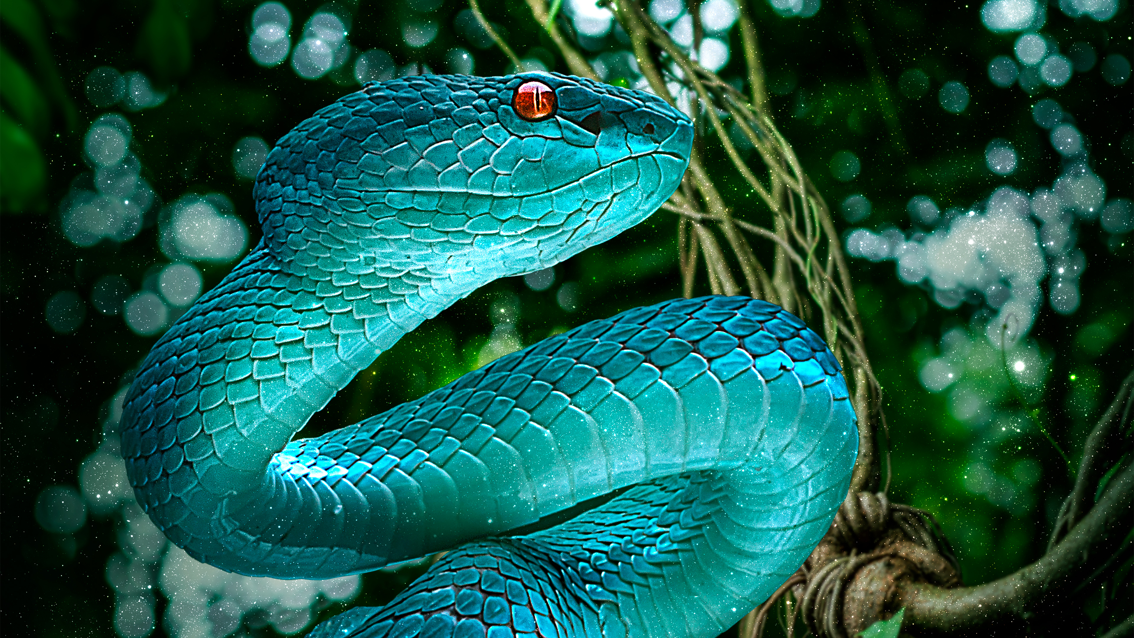 Descarga gratuita de fondo de pantalla para móvil de Animales, Serpiente, Reptiles, Víbora.