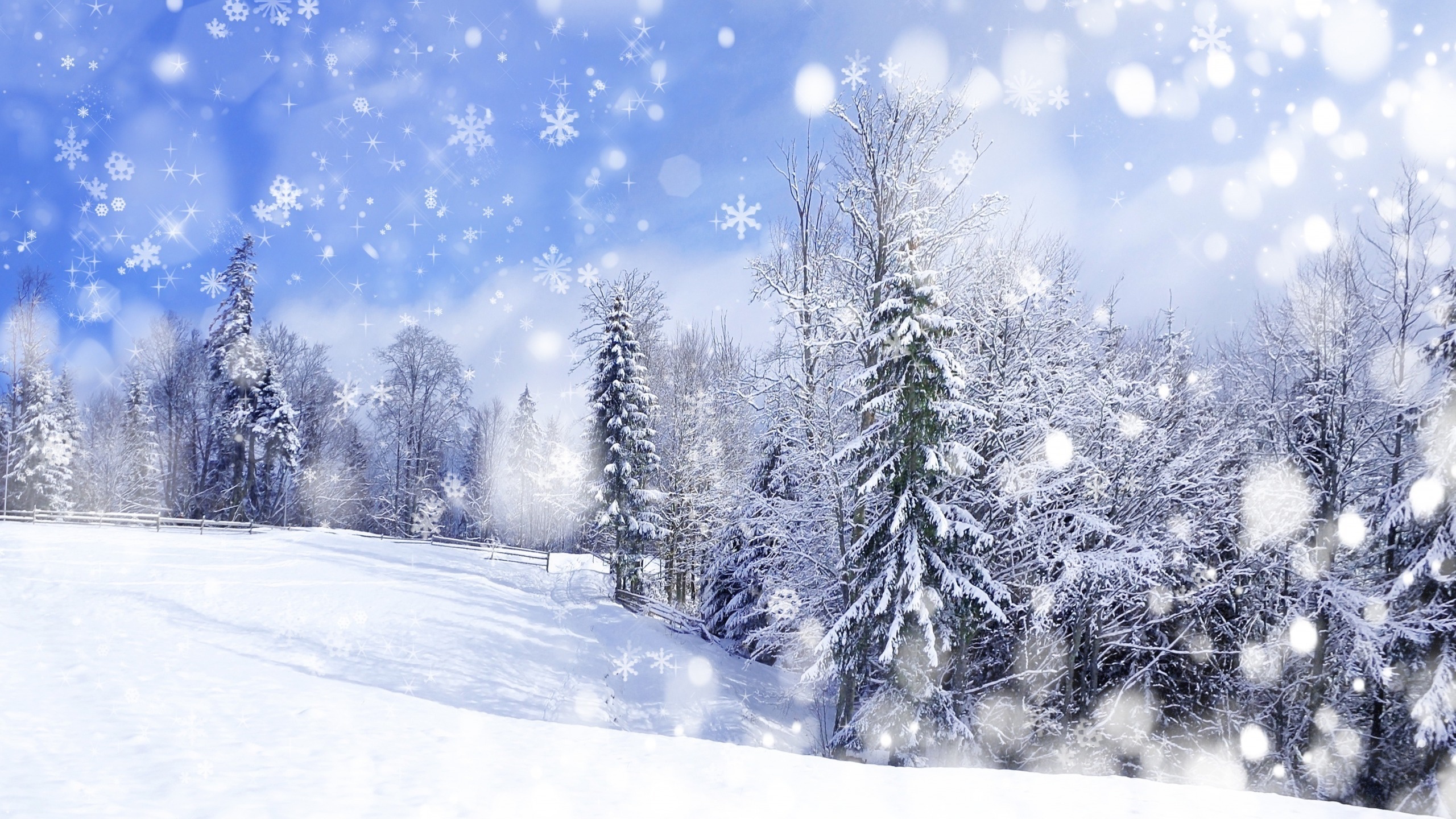 Скачать картинку Зима, Снег, Снежинки, Лес, Дерево, Художественные в телефон бесплатно.