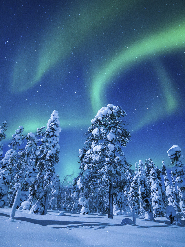 Download mobile wallpaper Winter, Forest, Earth, Aurora Borealis for free.