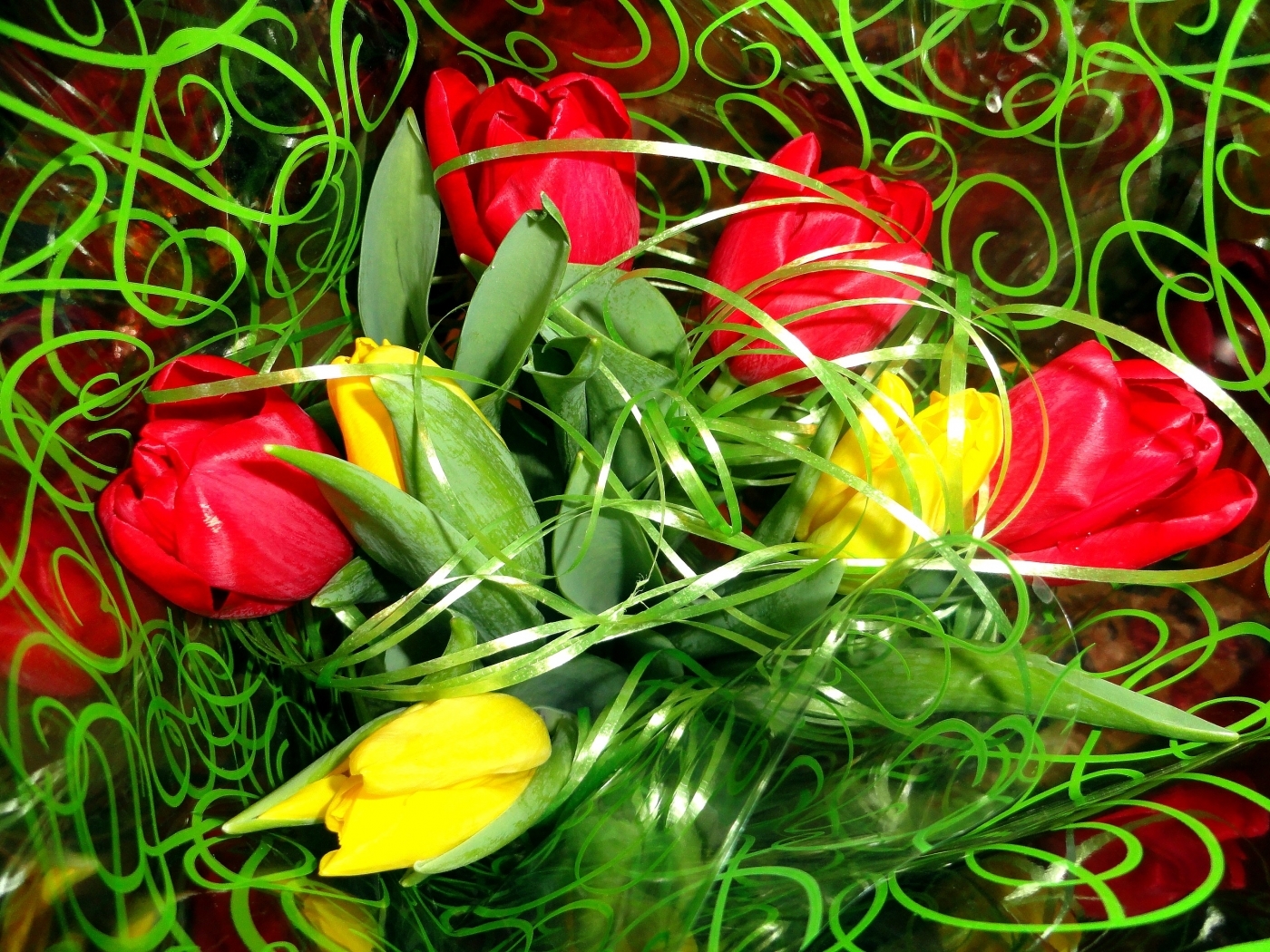 Handy-Wallpaper Pflanzen, Blumen, Tulpen kostenlos herunterladen.