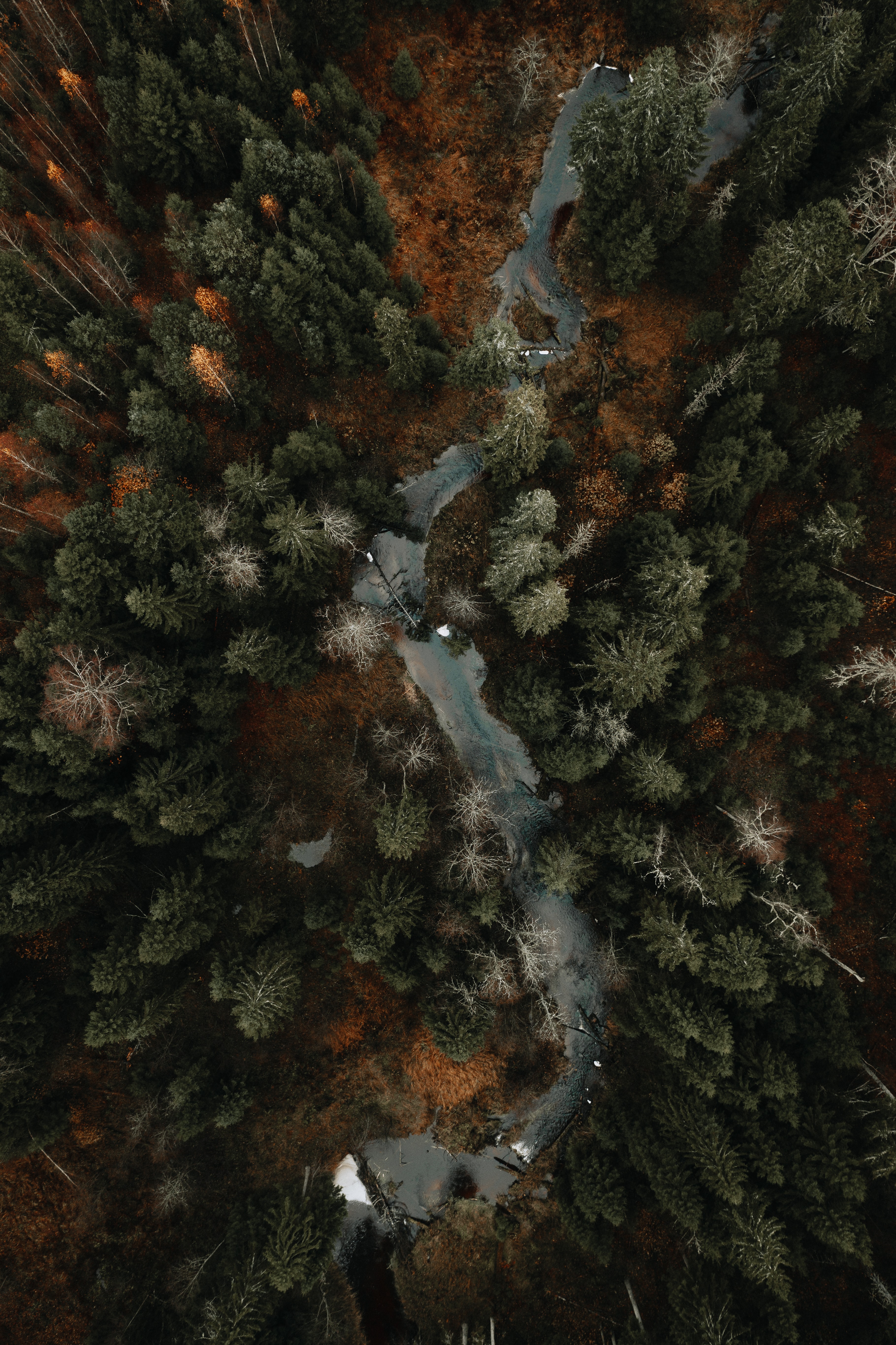Download mobile wallpaper View From Above, Rivers, Forest, Nature, Trees, Autumn for free.