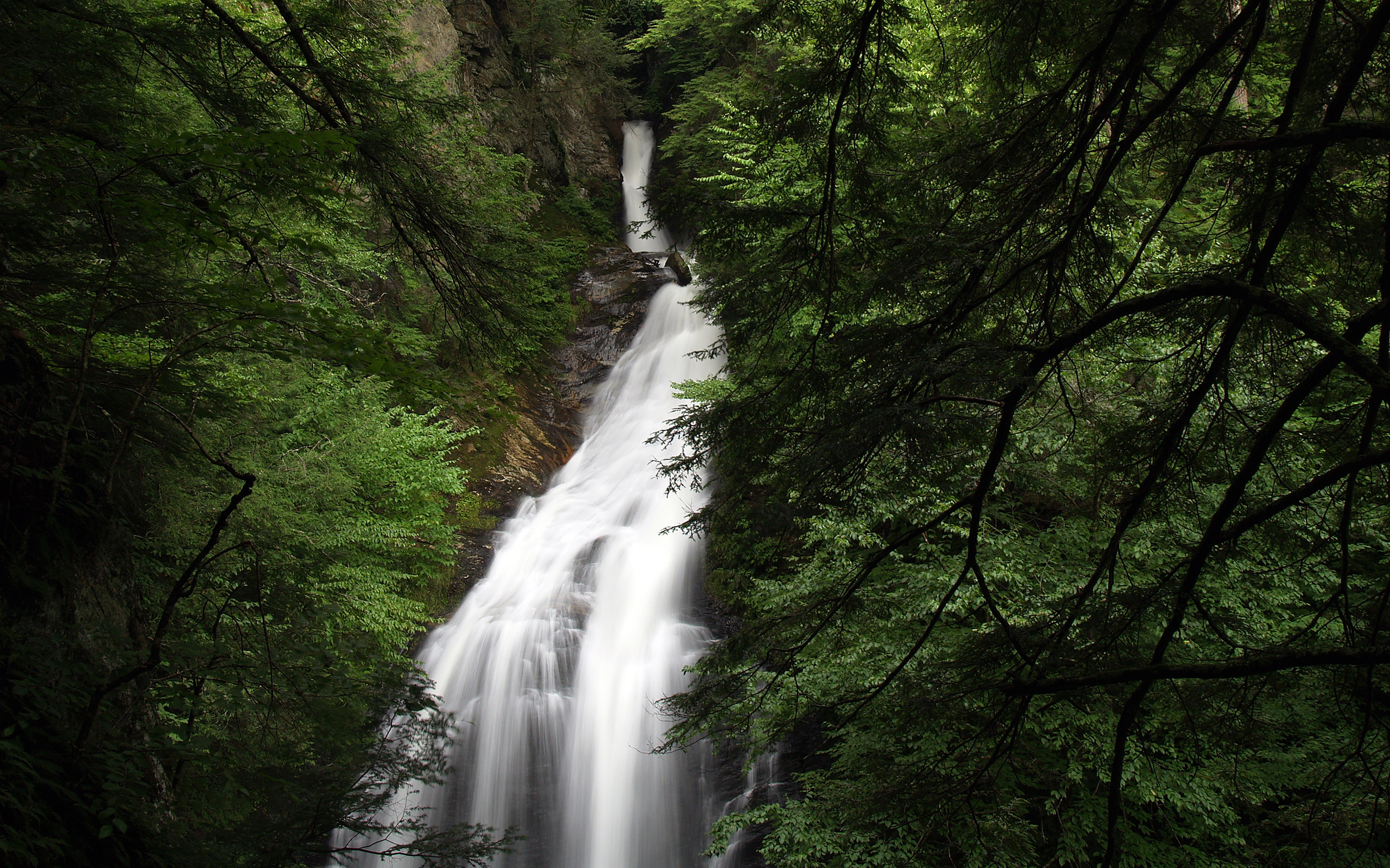 Скачать картинку Водопад, Лес, Зеленый, Земля/природа в телефон бесплатно.