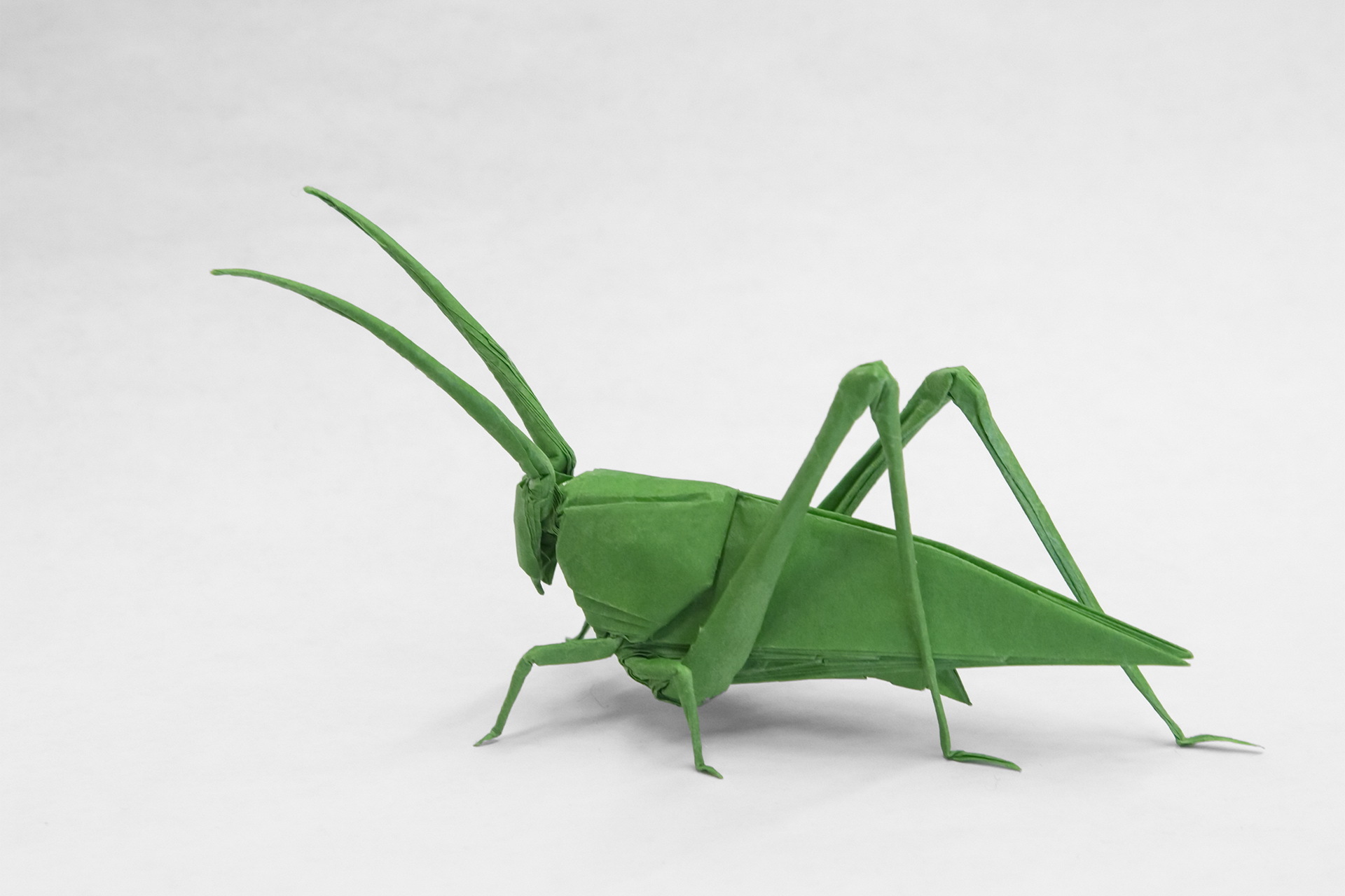Download mobile wallpaper Grasshopper, Origami, Man Made for free.