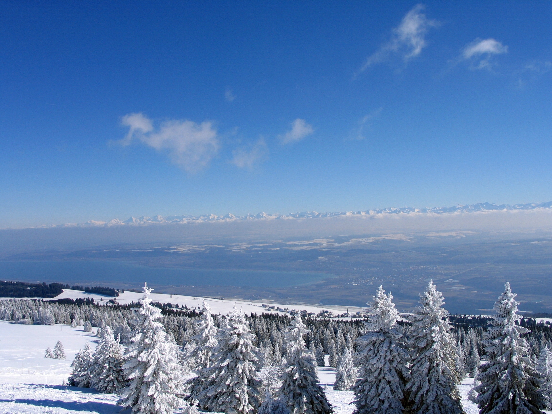 Скачать обои бесплатно Ясно, Ели, Небо, Природа, Лес, Зима, Швейцария картинка на рабочий стол ПК