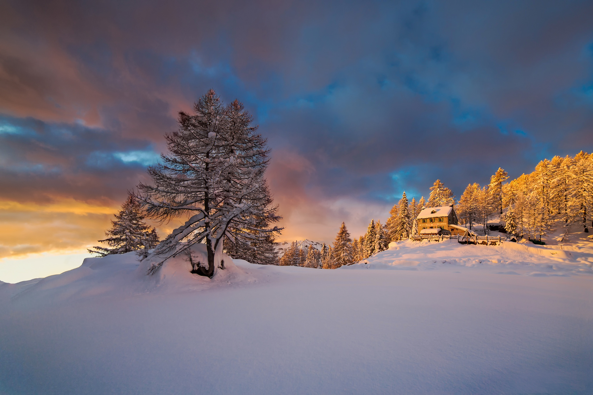 無料モバイル壁紙冬, 家, 木, 雪, 丘, 写真撮影をダウンロードします。