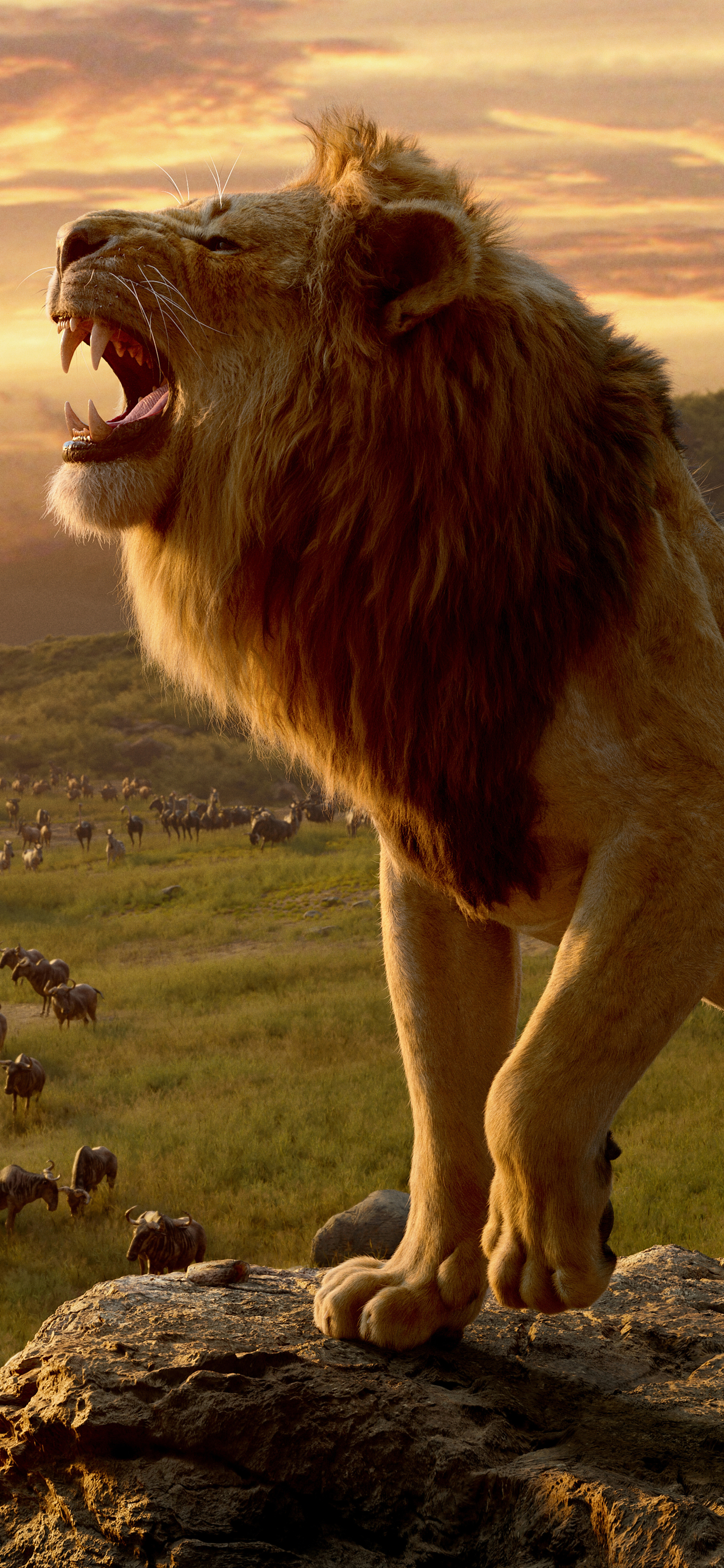 1343232 descargar fondo de pantalla películas, el rey león (2019), león, mufasa (el rey león): protectores de pantalla e imágenes gratis