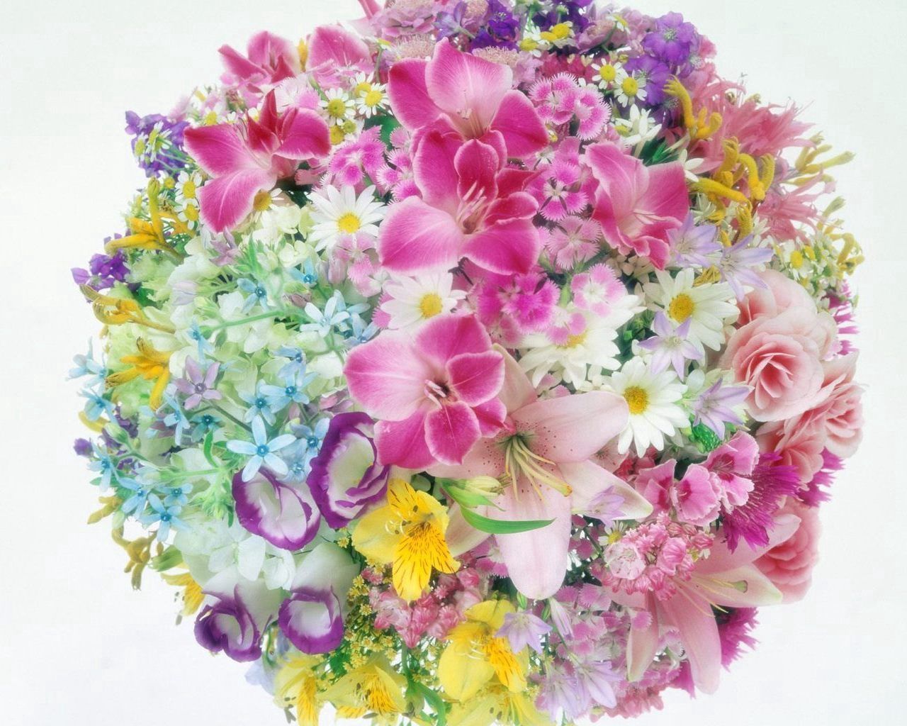 carnations, camomile, flowers, roses, lilies, bouquet, ball, tenderness Full HD