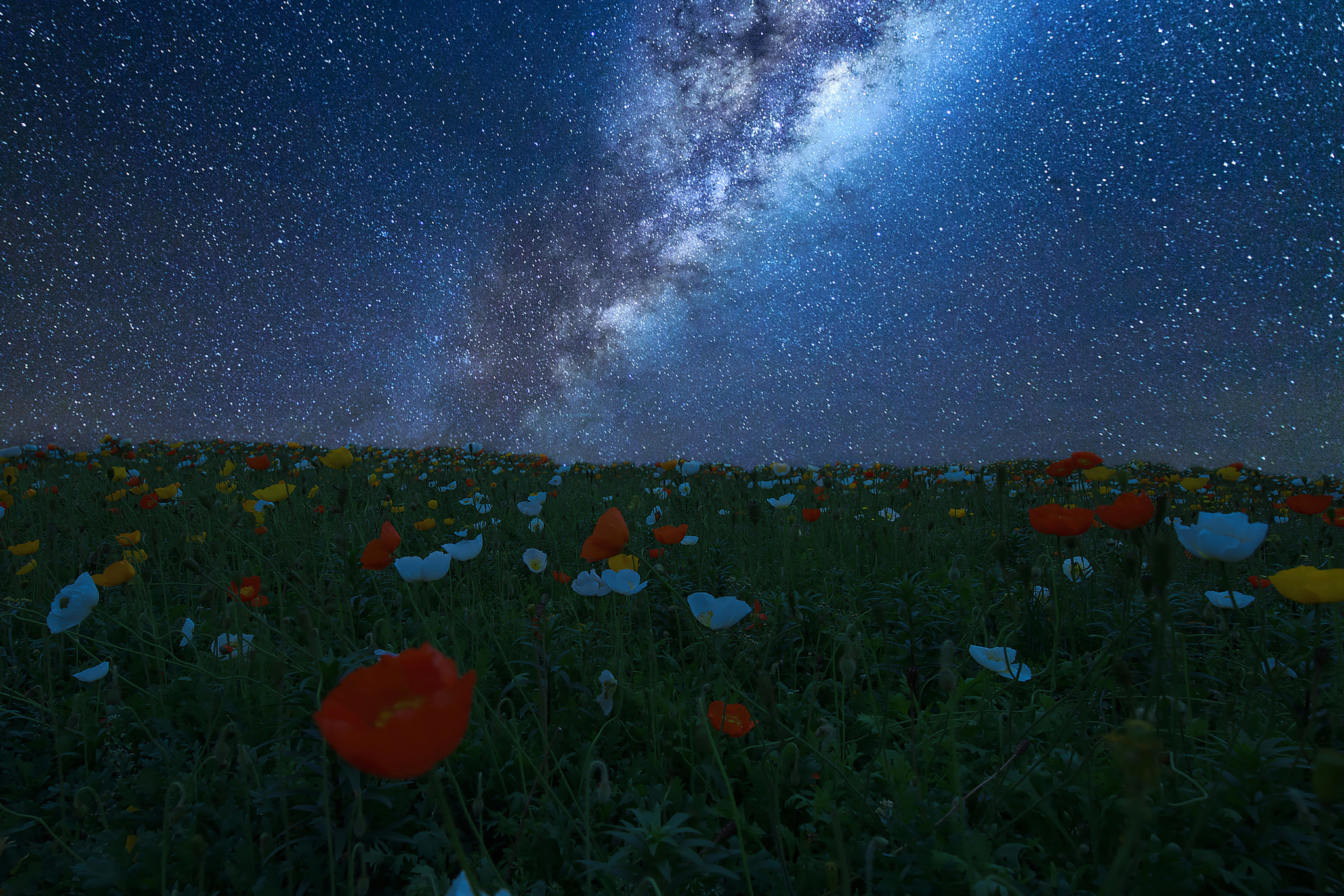 Laden Sie das Blume, Feld, Milchstraße, Science Fiction, Wiese, Nacht, Himmel-Bild kostenlos auf Ihren PC-Desktop herunter