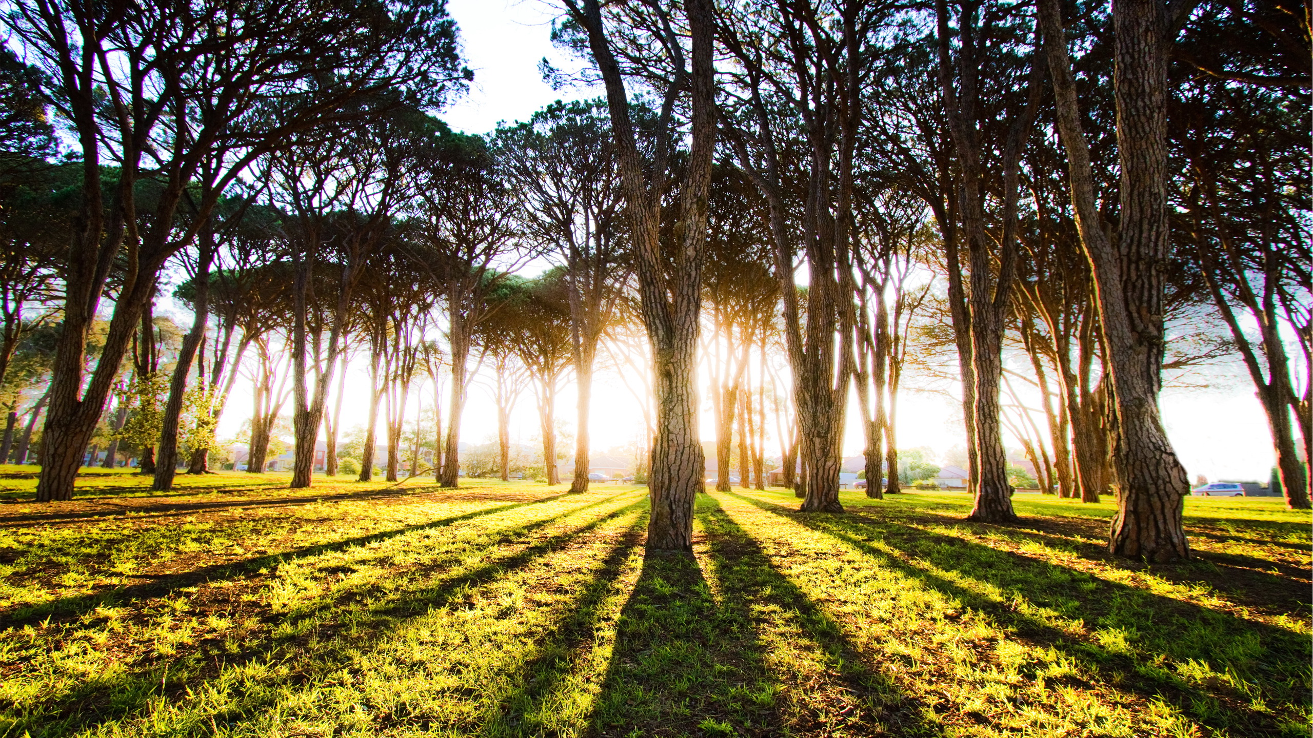 Baixe gratuitamente a imagem Terra/natureza, Raio Solar na área de trabalho do seu PC