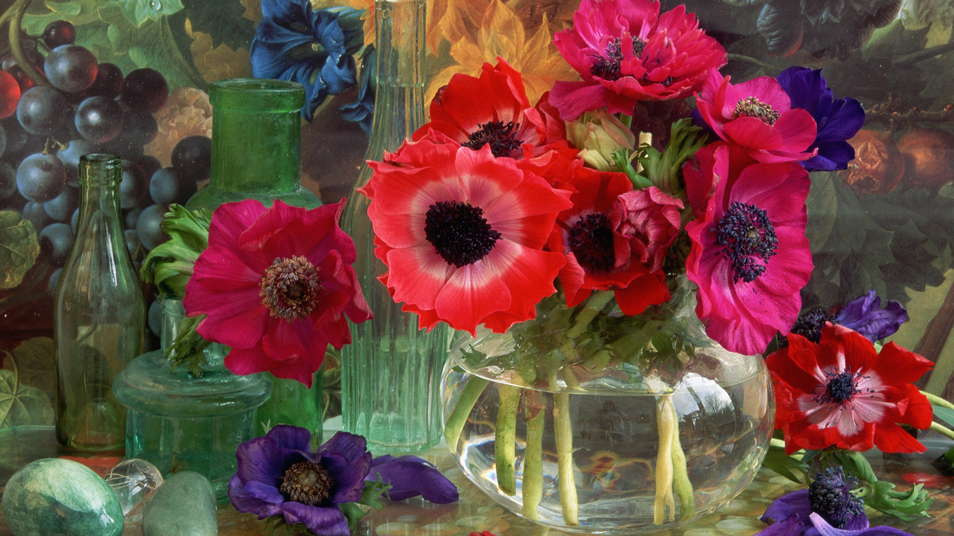 206699壁紙のダウンロード写真撮影, 静物, アネモネ, 花, 紫色の花, 赤い花, 花瓶-スクリーンセーバーと写真を無料で