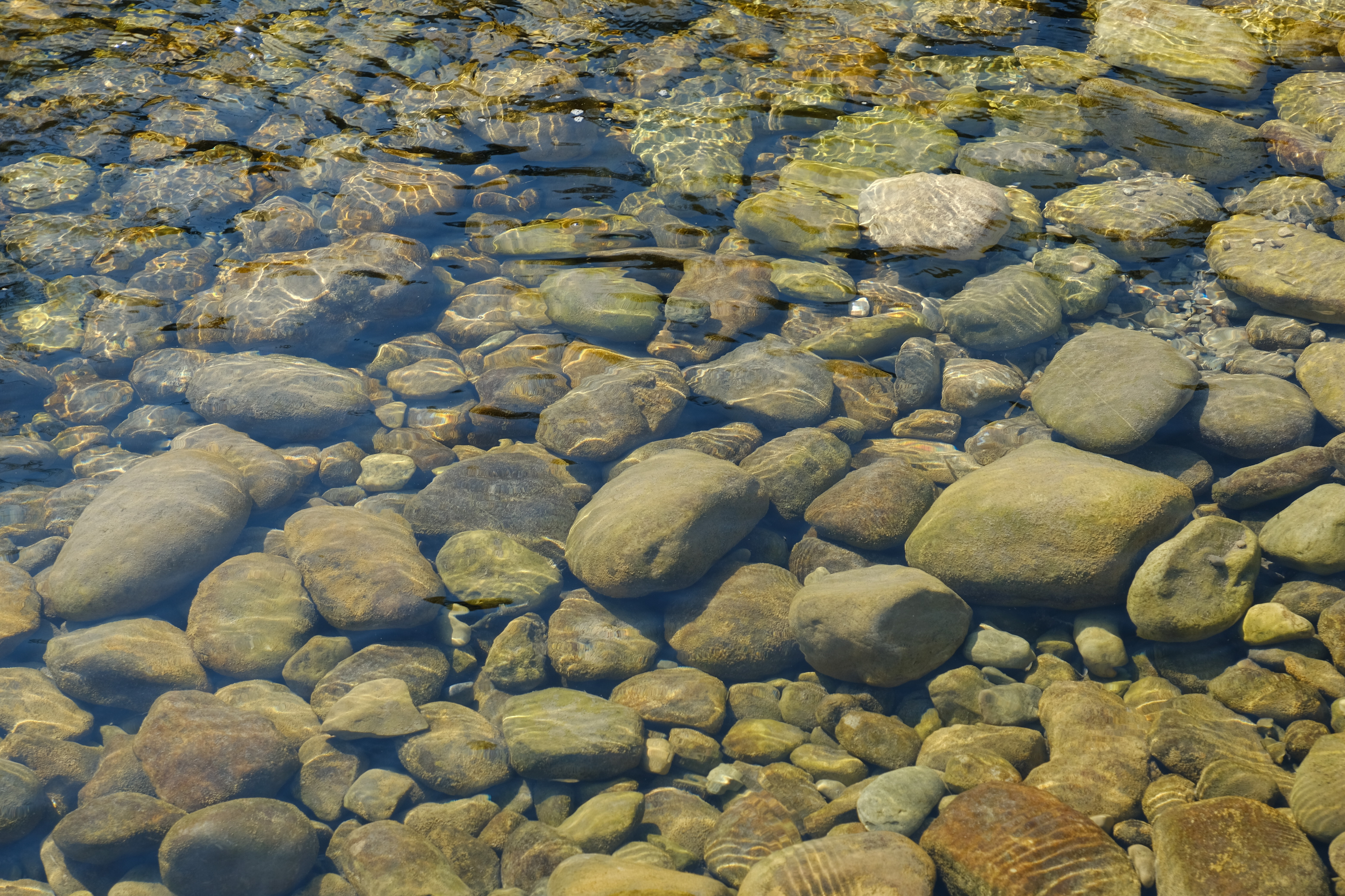 transparent, nature, water, stones, basin, bottom HD wallpaper