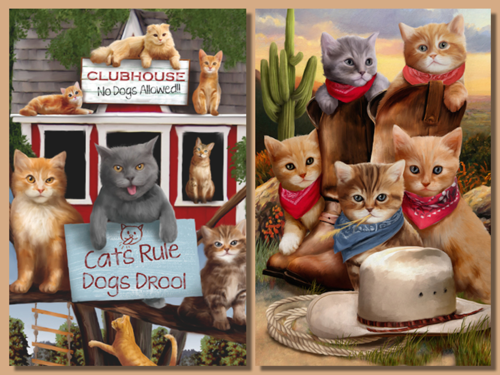 Handy-Wallpaper Katze, Humor, Katzen, Tiere kostenlos herunterladen.