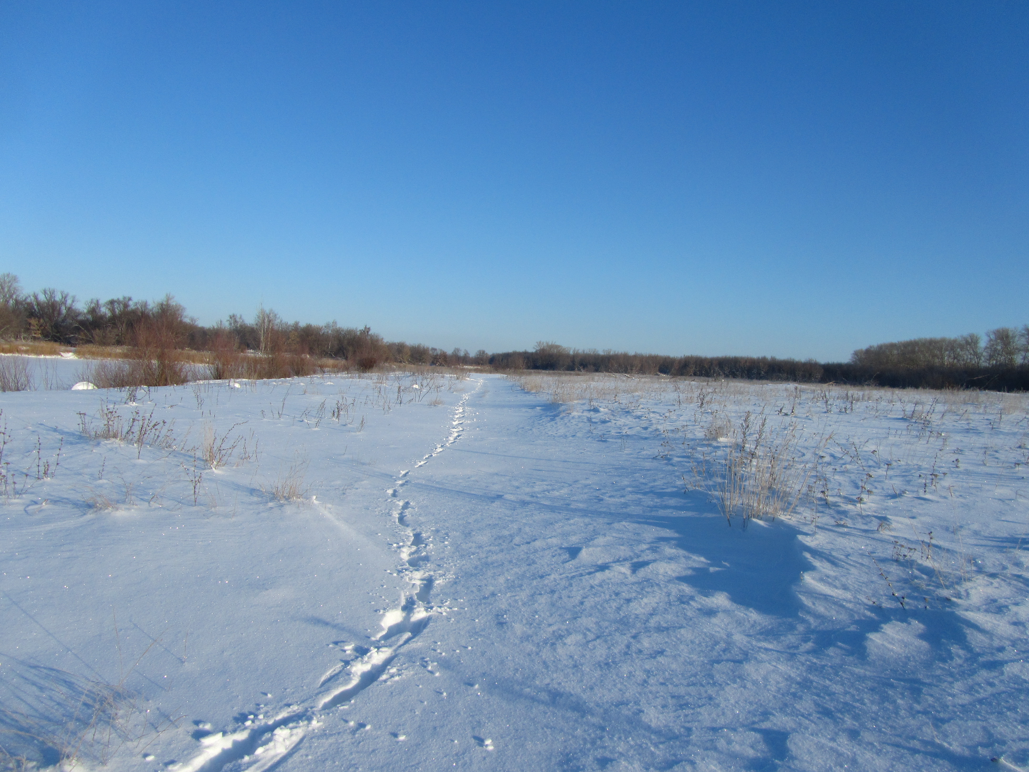 Laden Sie das Winter, Fotografie-Bild kostenlos auf Ihren PC-Desktop herunter