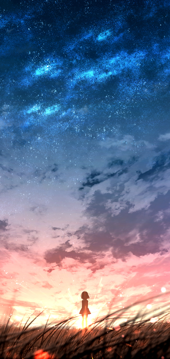 Handy-Wallpaper Himmel, Sonnenuntergang, Animes kostenlos herunterladen.