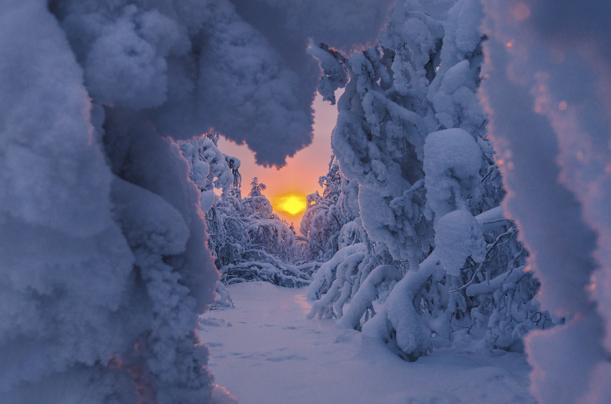 Téléchargez gratuitement l'image Hiver, La Nature, Terre/nature, Neiger, Lever De Soleil sur le bureau de votre PC