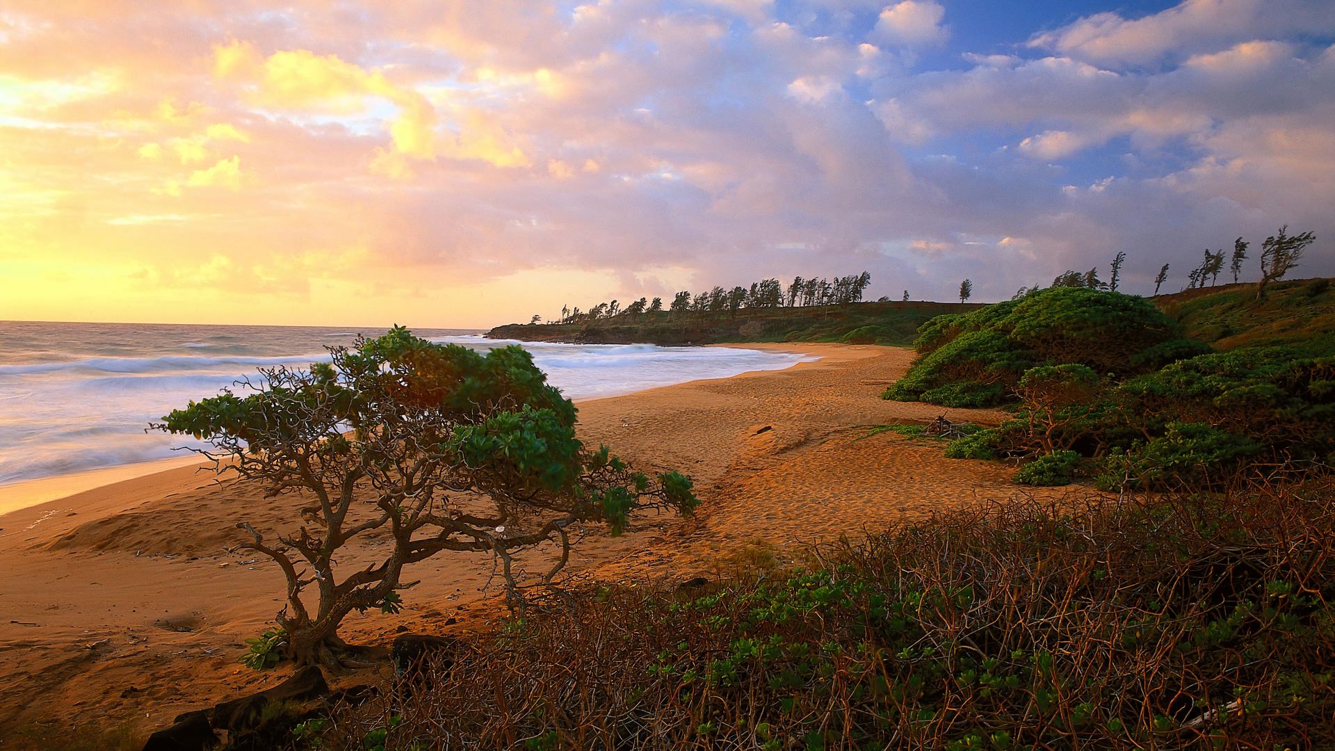 Laden Sie das Horizont, Küste, Baum, Ozean, Meer, Erde/natur-Bild kostenlos auf Ihren PC-Desktop herunter