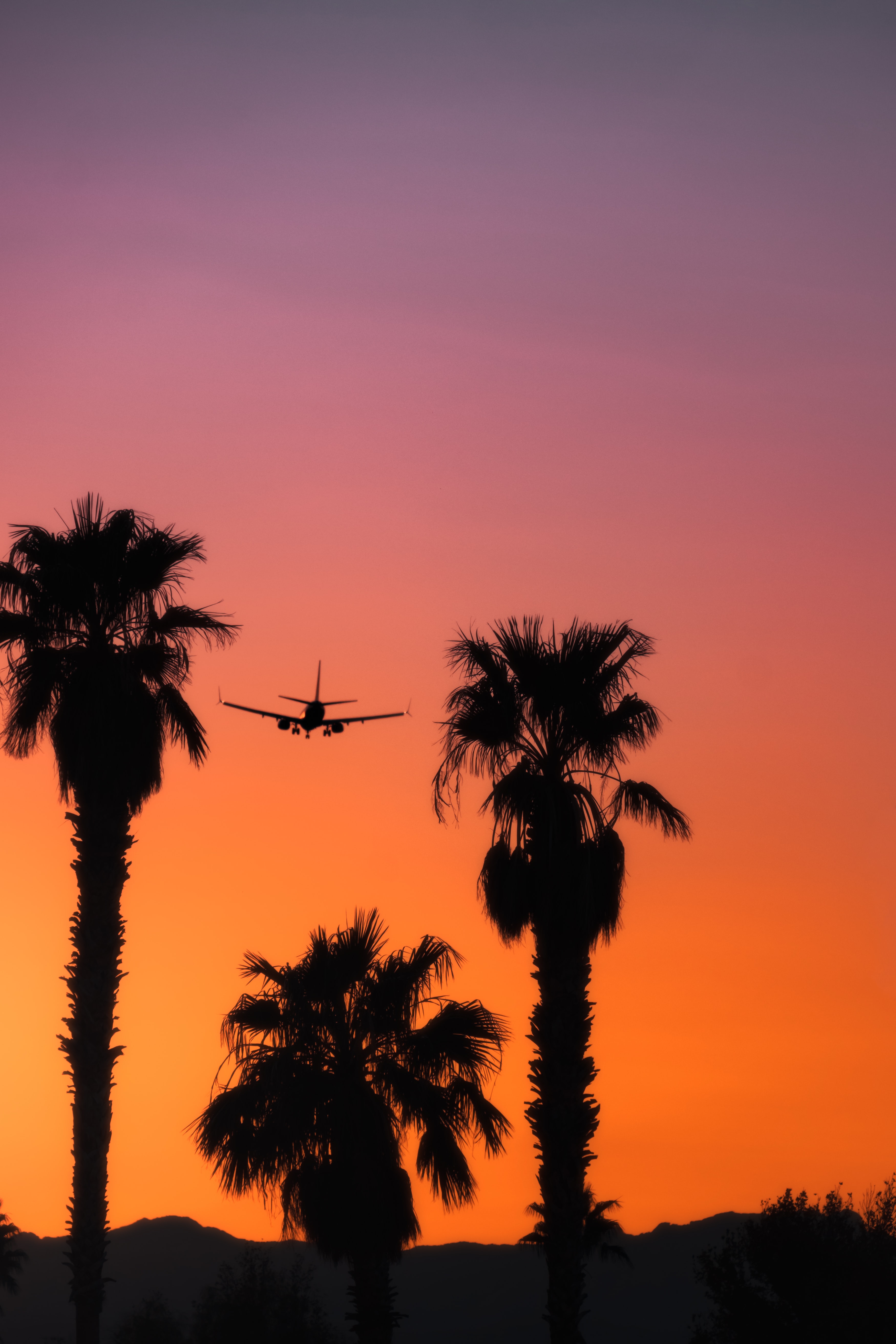 plane, airplane, sunset, sky, palms, dark, silhouette