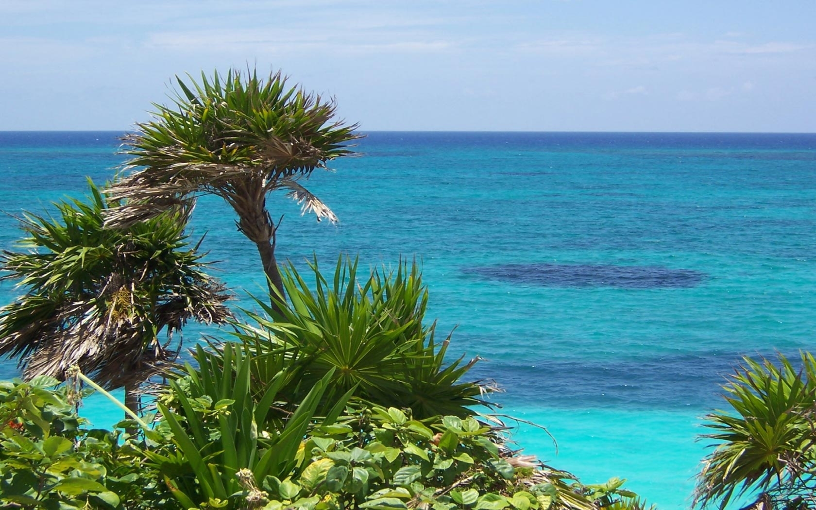 Free download wallpaper Landscape, Sea, Palms, Trees on your PC desktop