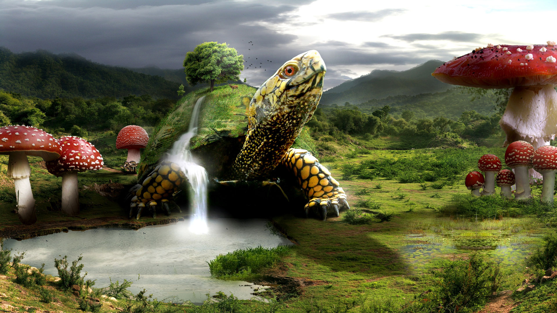 Free download wallpaper Fantasy, Field, Mushroom, Turtle, Fantasy Animals on your PC desktop