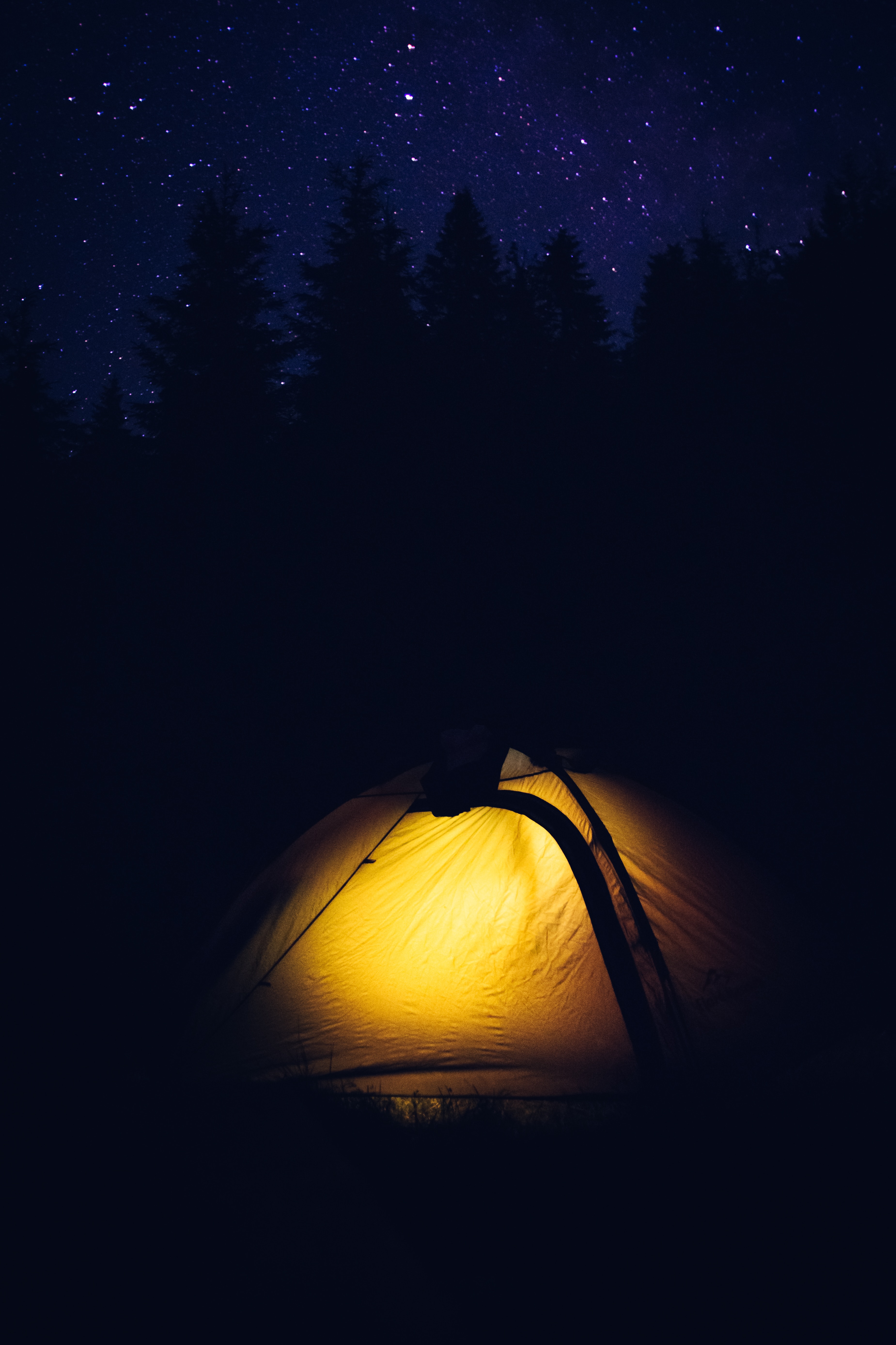 Téléchargez gratuitement l'image Forêt, Sombre, Tente, Camping, Nuit sur le bureau de votre PC
