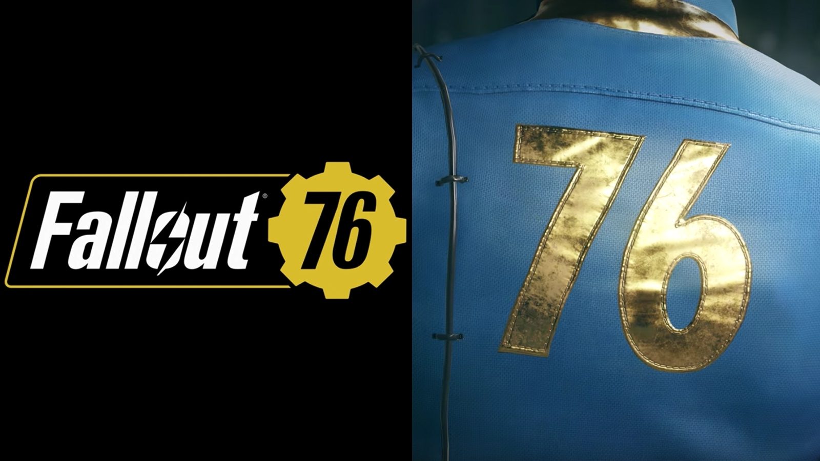 Free download wallpaper Video Game, Fallout 76 on your PC desktop