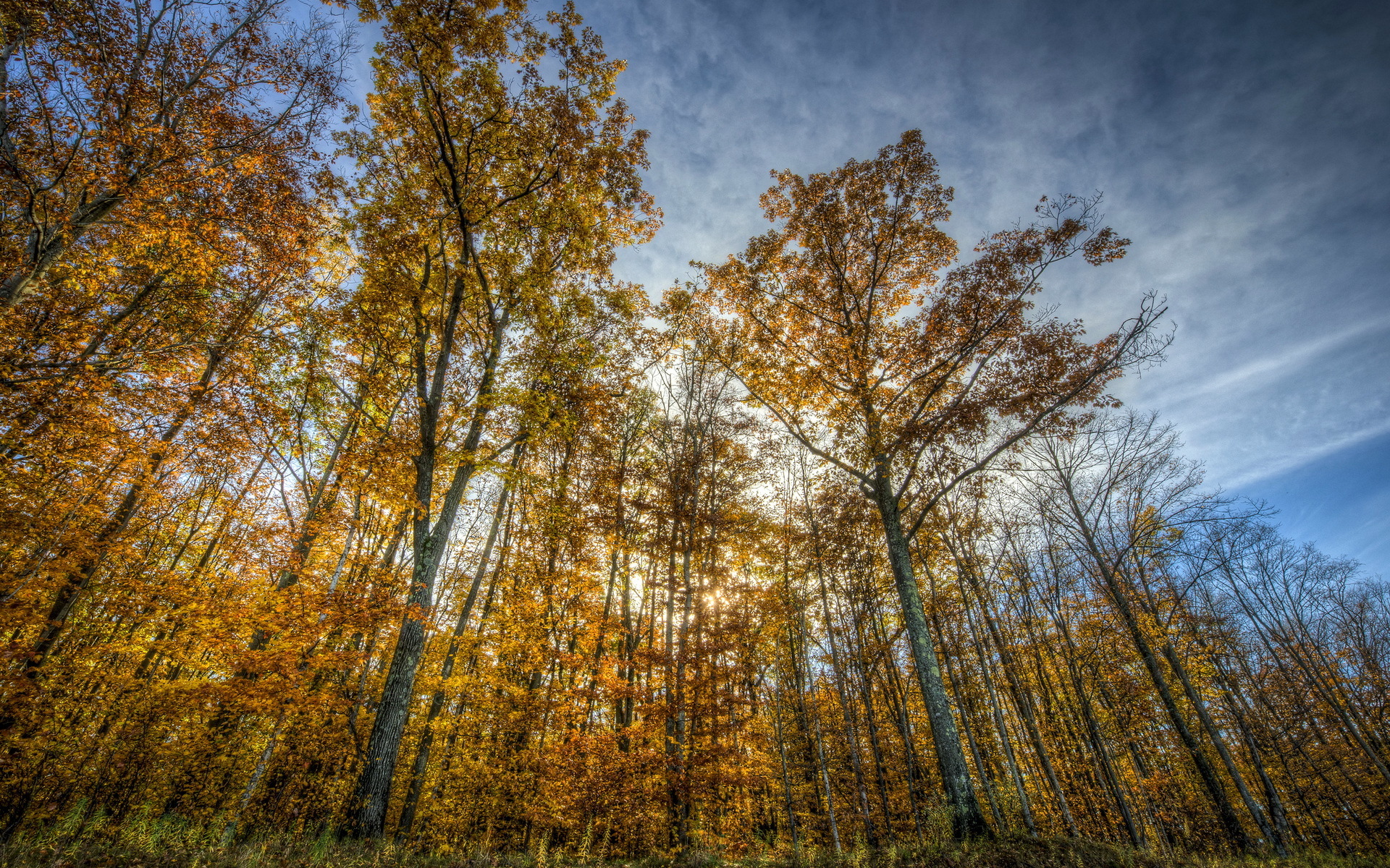 Téléchargez des papiers peints mobile Automne, Terre/nature gratuitement.