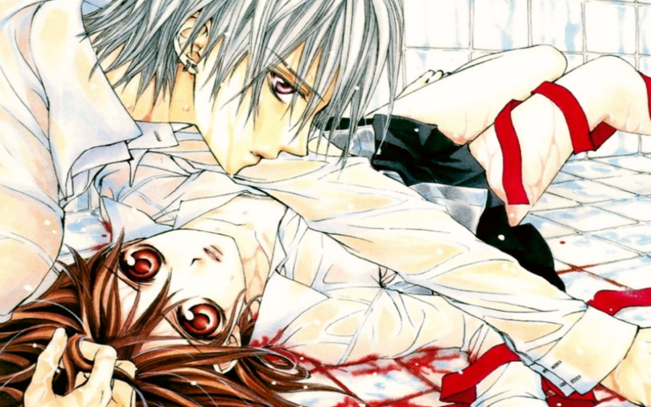Free download wallpaper Anime, Vampire Knight on your PC desktop