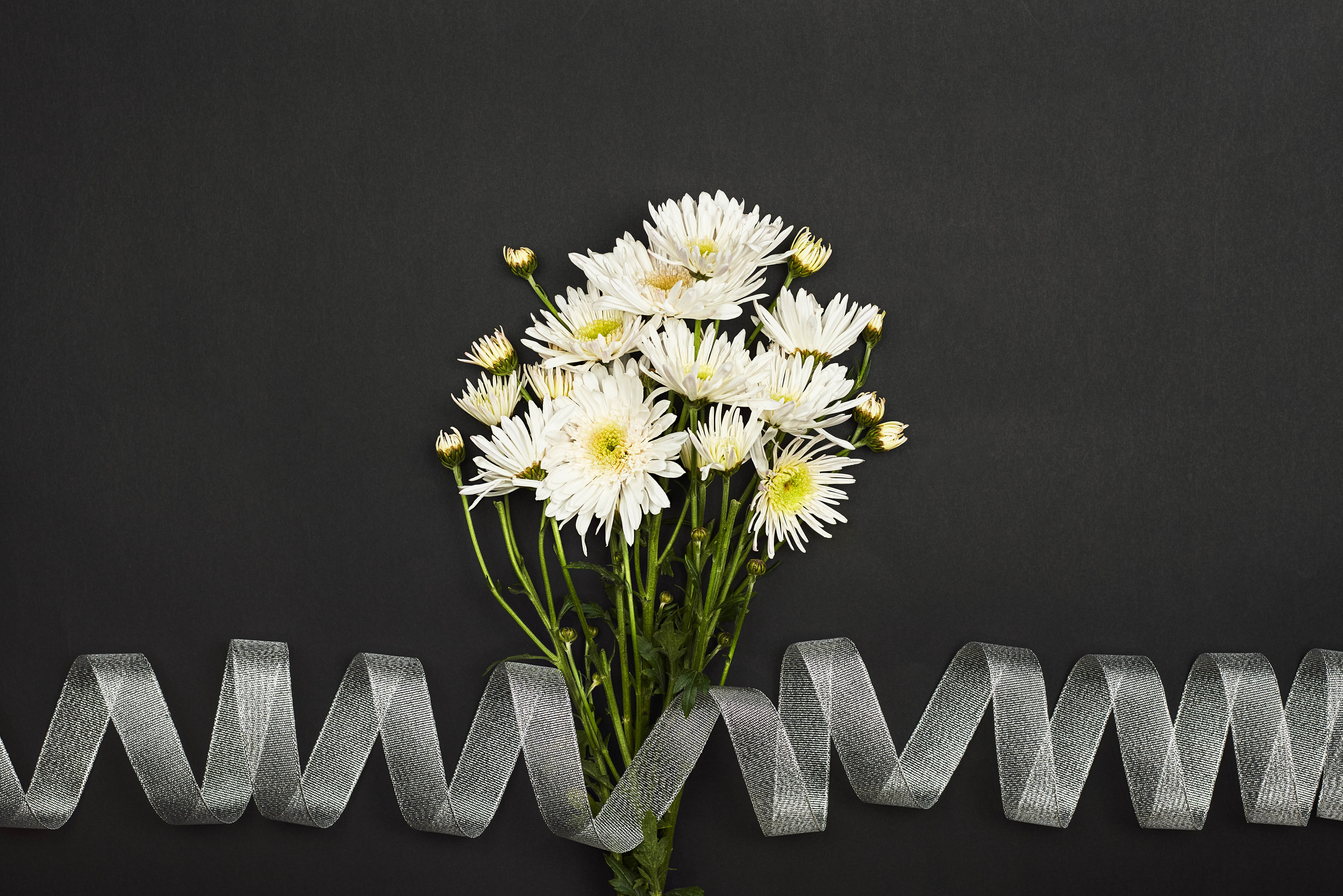flowers, chrysanthemum, white, bouquet, tape 4K