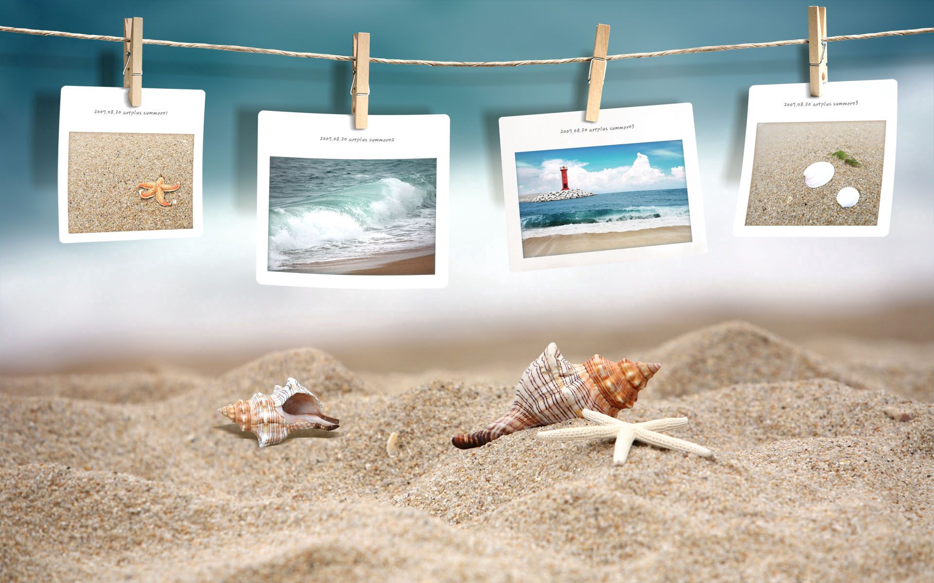 beach, shells, miscellanea, miscellaneous, photos, photographs