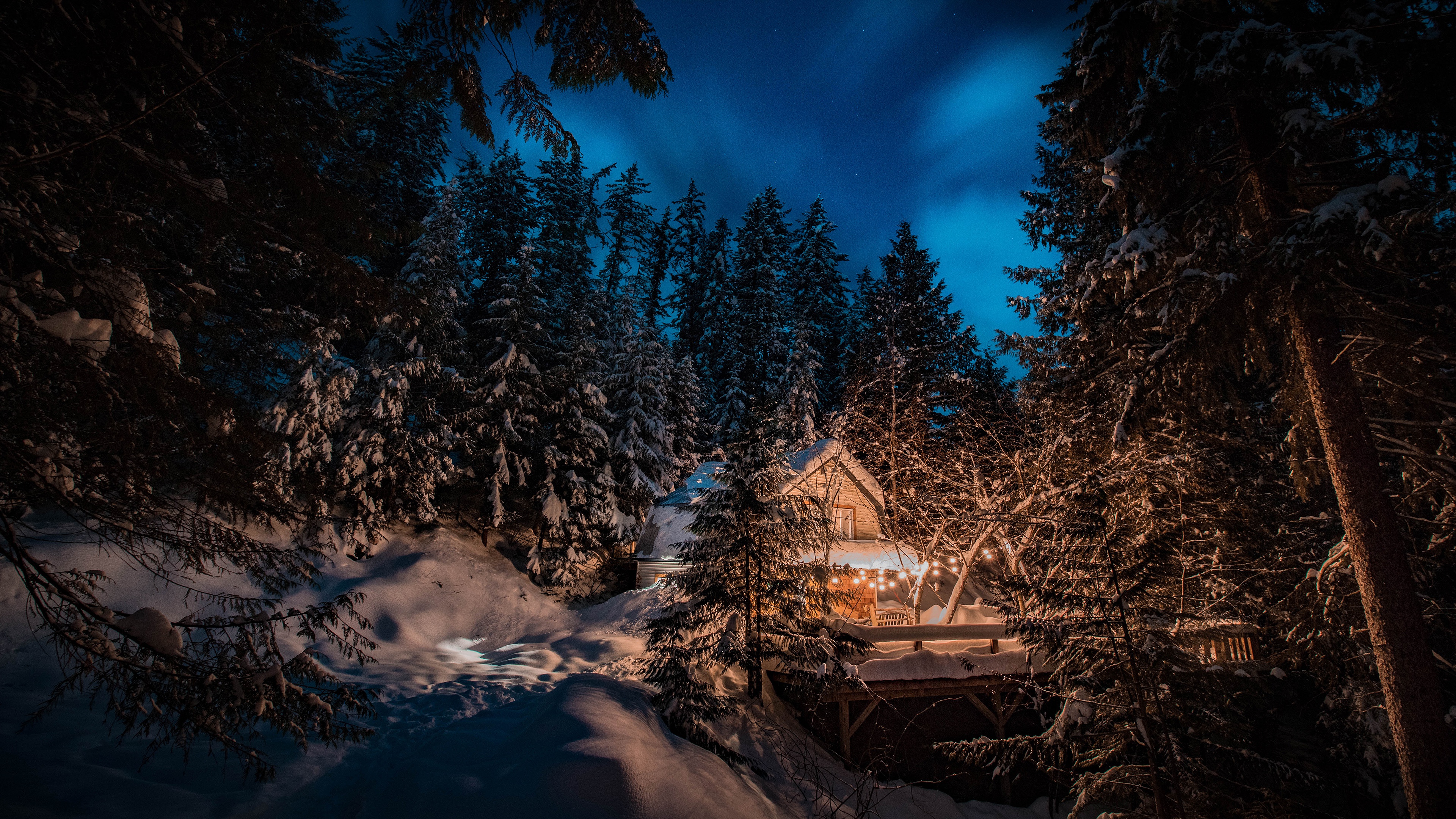 1005304 descargar imagen fotografía, invierno, navidad, abeto, bosque, casa, noche, nieve: fondos de pantalla y protectores de pantalla gratis