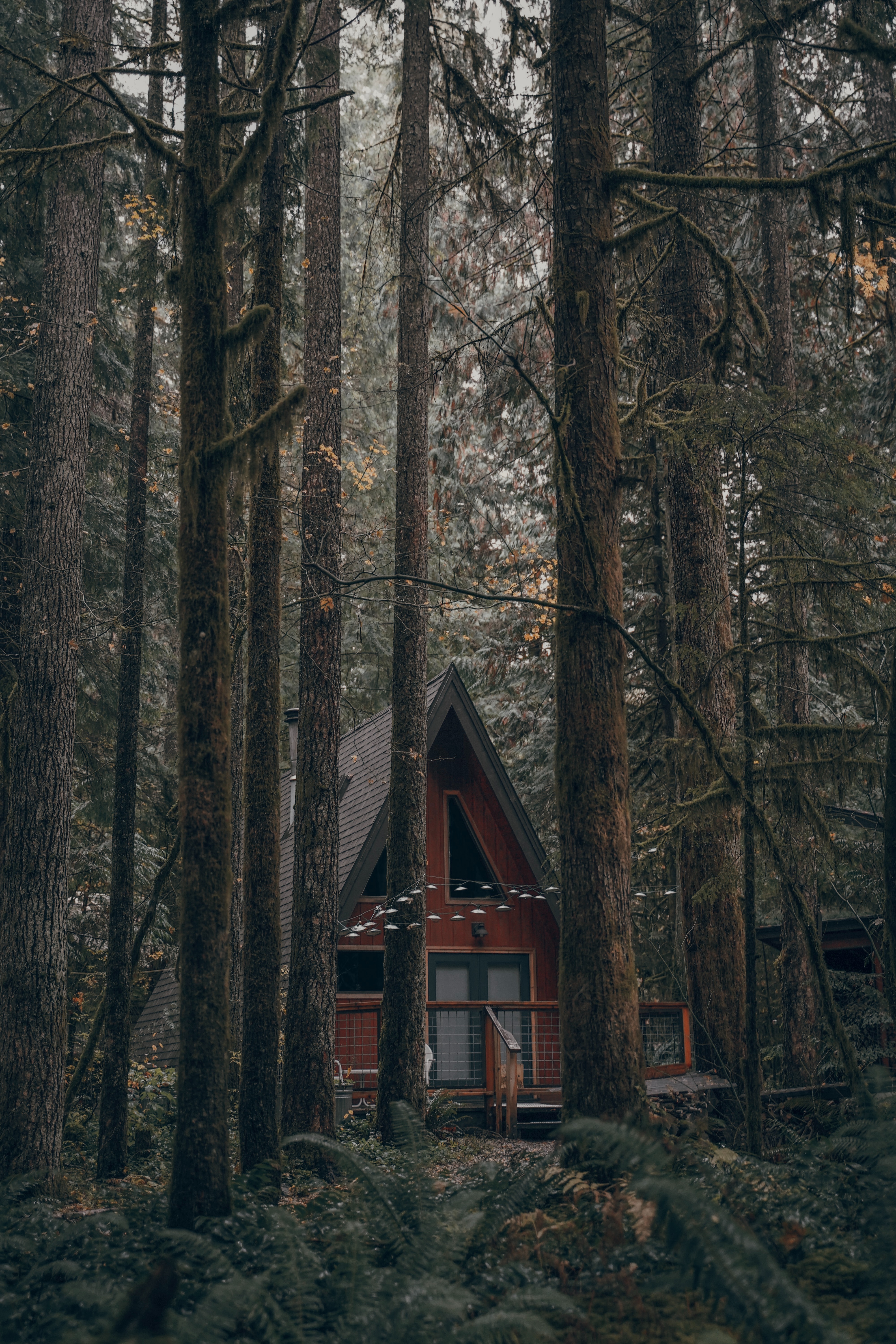 Free download wallpaper Trees, Building, Forest, Nature, House on your PC desktop