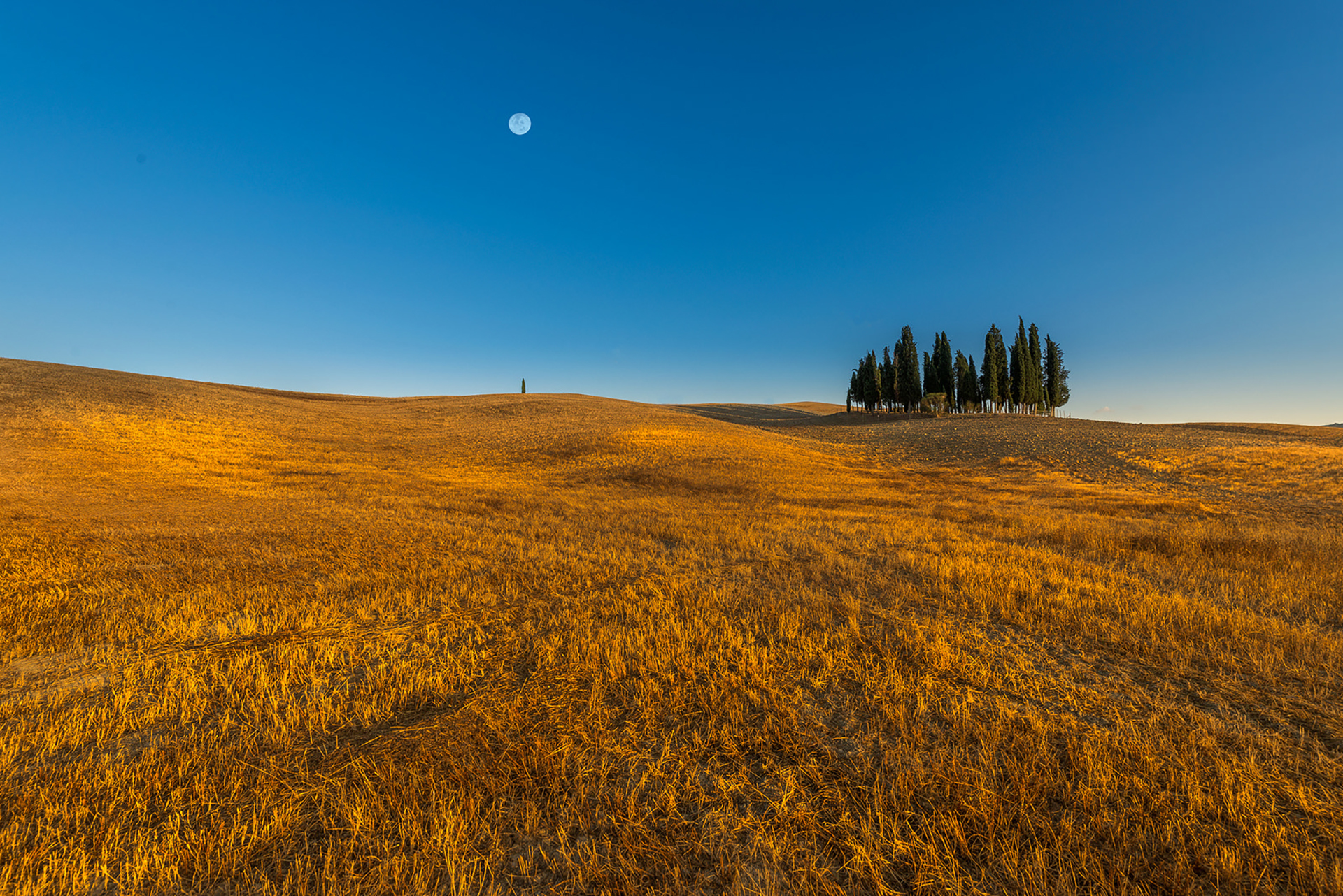 Download mobile wallpaper Landscape, Nature, Moon, Tree, Earth, Field for free.