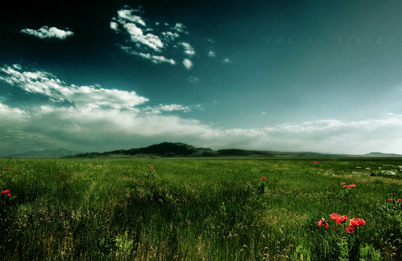 Download mobile wallpaper Grass, Sky, Landscape for free.