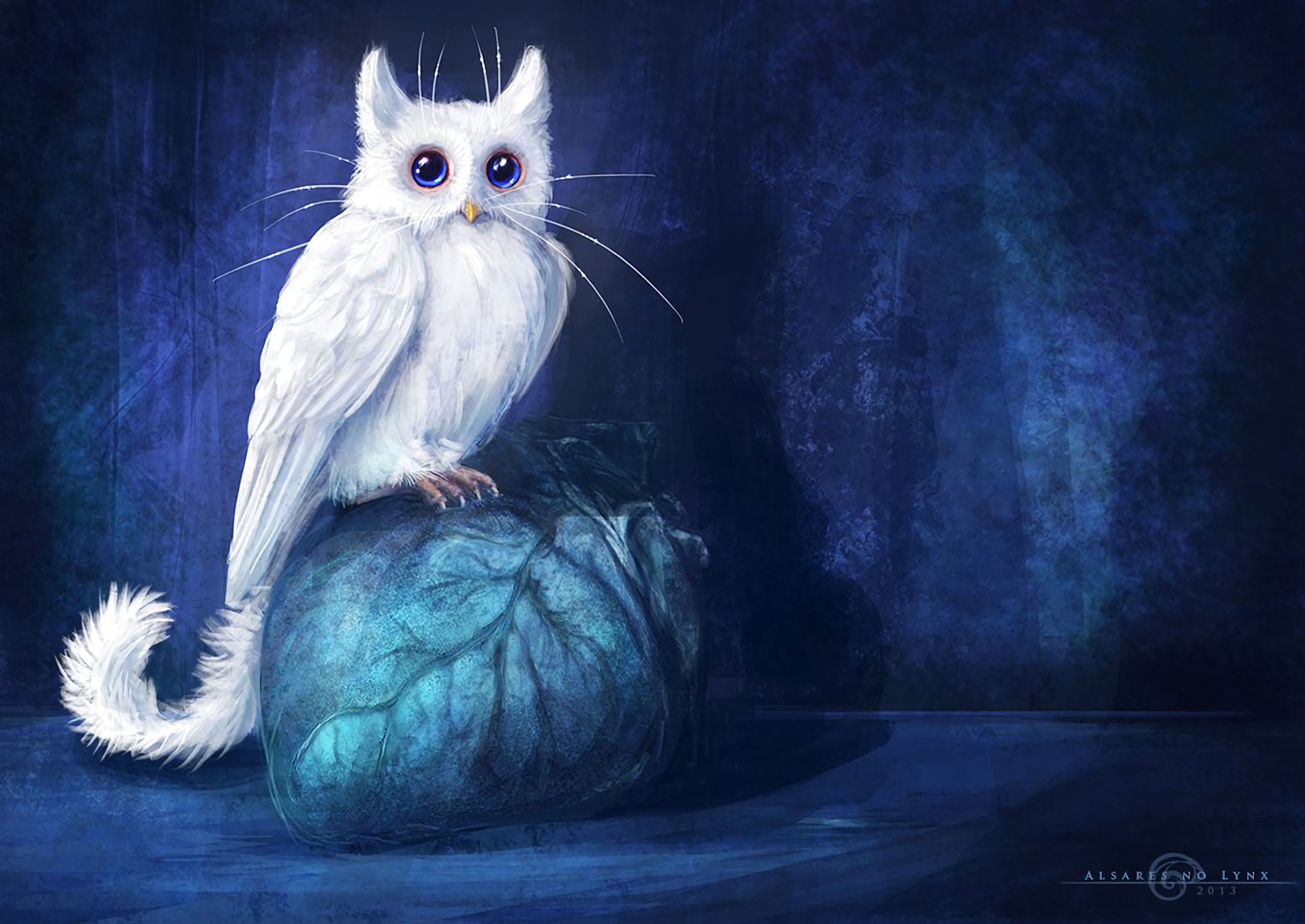 Free download wallpaper Owl, Cat, Art, Fantasy on your PC desktop