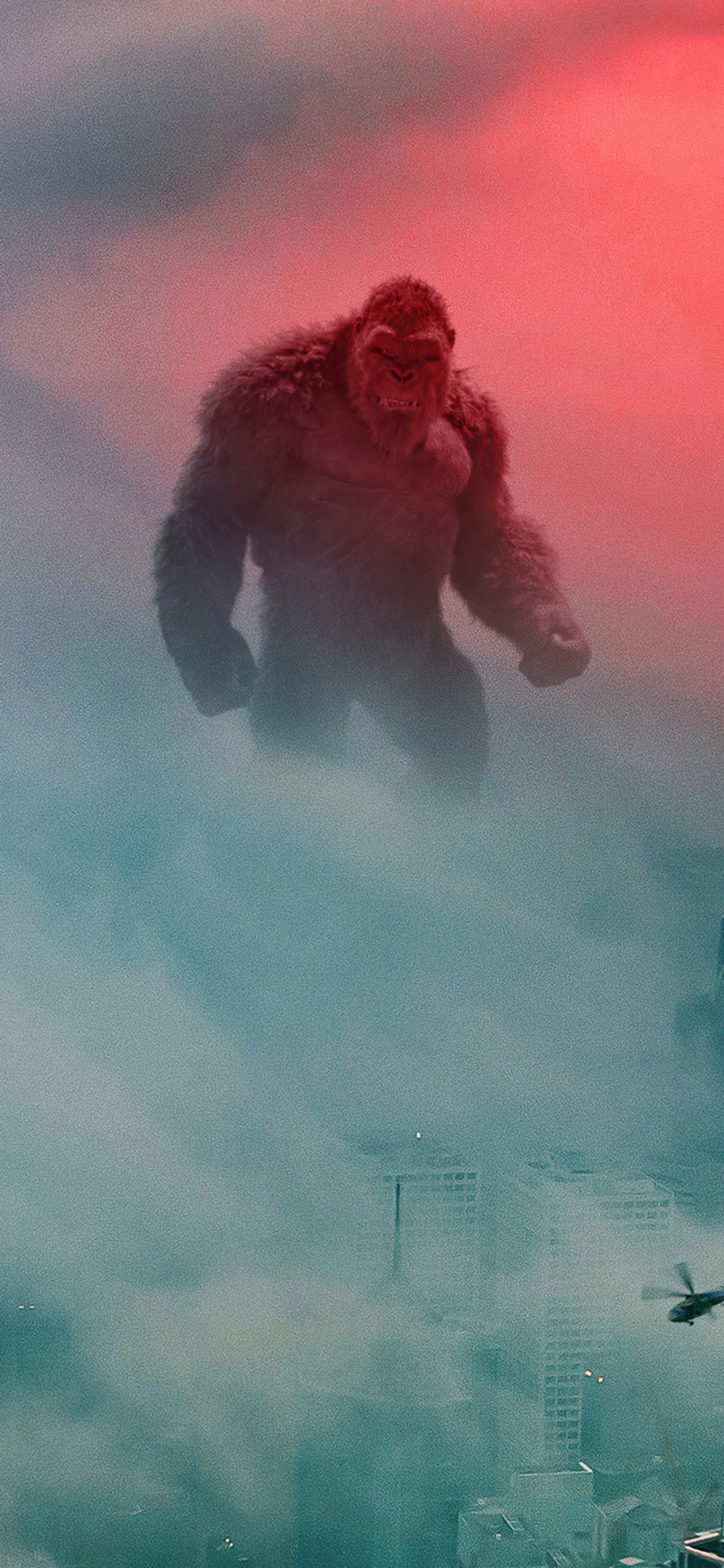 Baixar papel de parede para celular de King Kong, Filme, Godzilla Vs Kong gratuito.